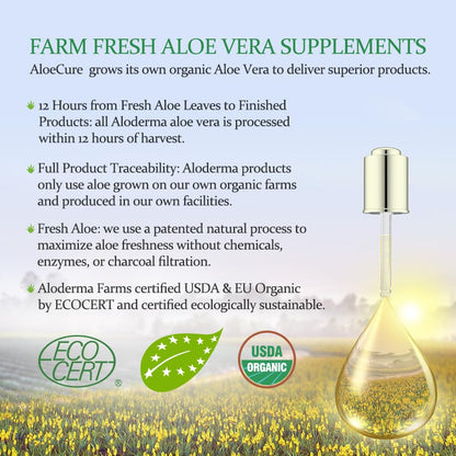 AloeCure Daily Probiotics 10 Billion CFU for Digestive Support 8 Strains, 6 Prebiotics & Enzymes - Digestive Supplement with Bromelain for Women & Men - PrimeBioHealth - canada supplements