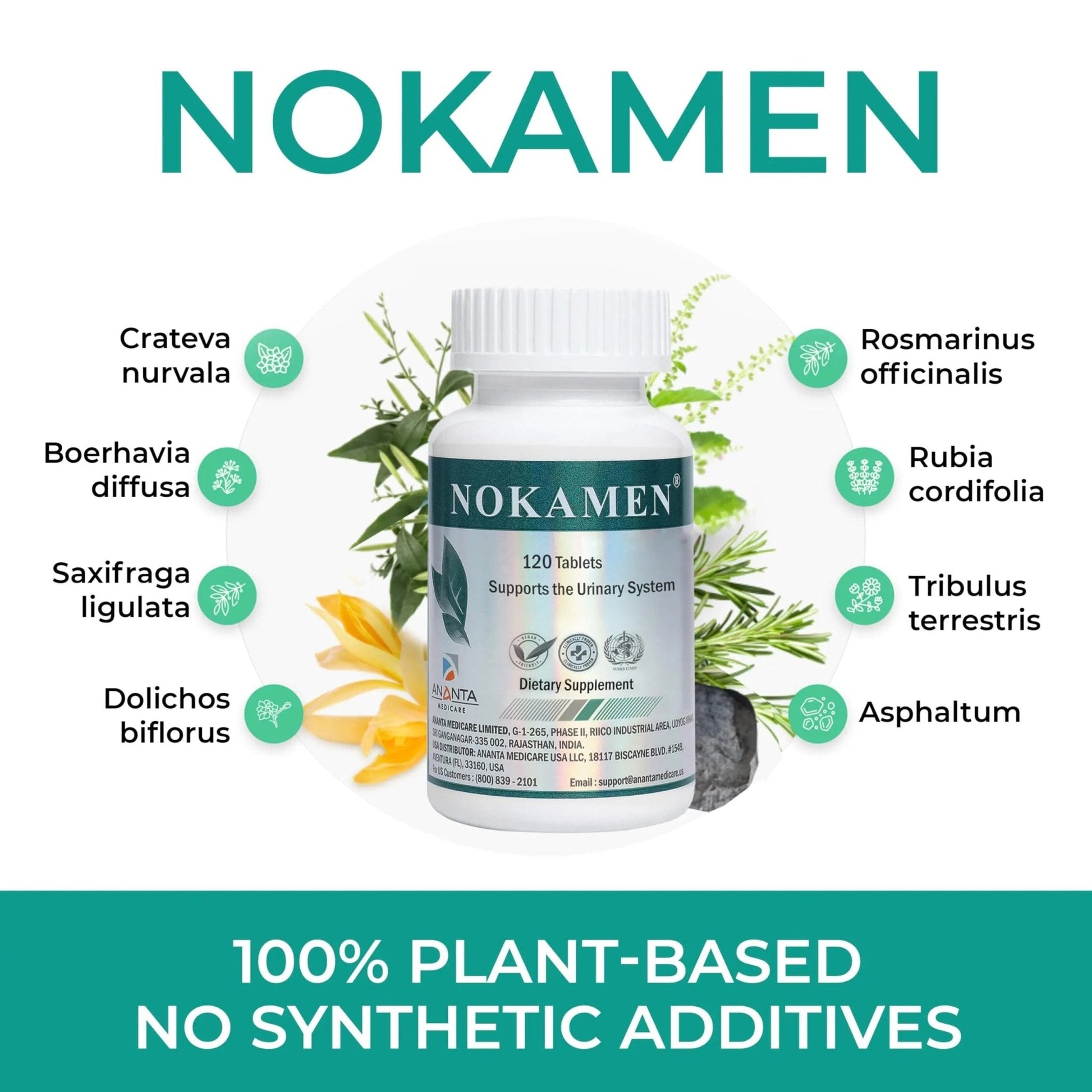Ananta Medicare USA NOKAMEN – Kidney & Urinary Tract Support Herbal Formula, 120 Tabs - PrimeBioHealth - canada supplements