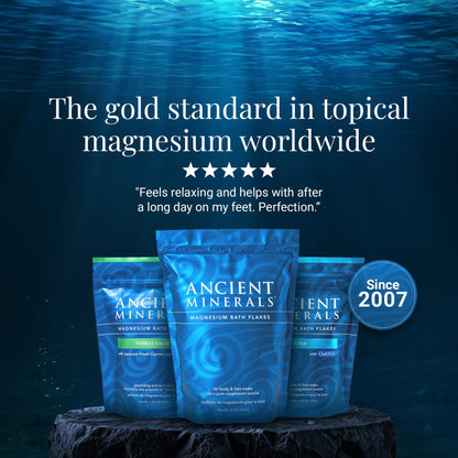 Ancient Minerals Magnesium Bath Flakes Ultra with OptiMSM – Pure Zechstein Magnesium Chloride and Organic Sulfur Bath Salts, - PrimeBioHealth - canada supplements