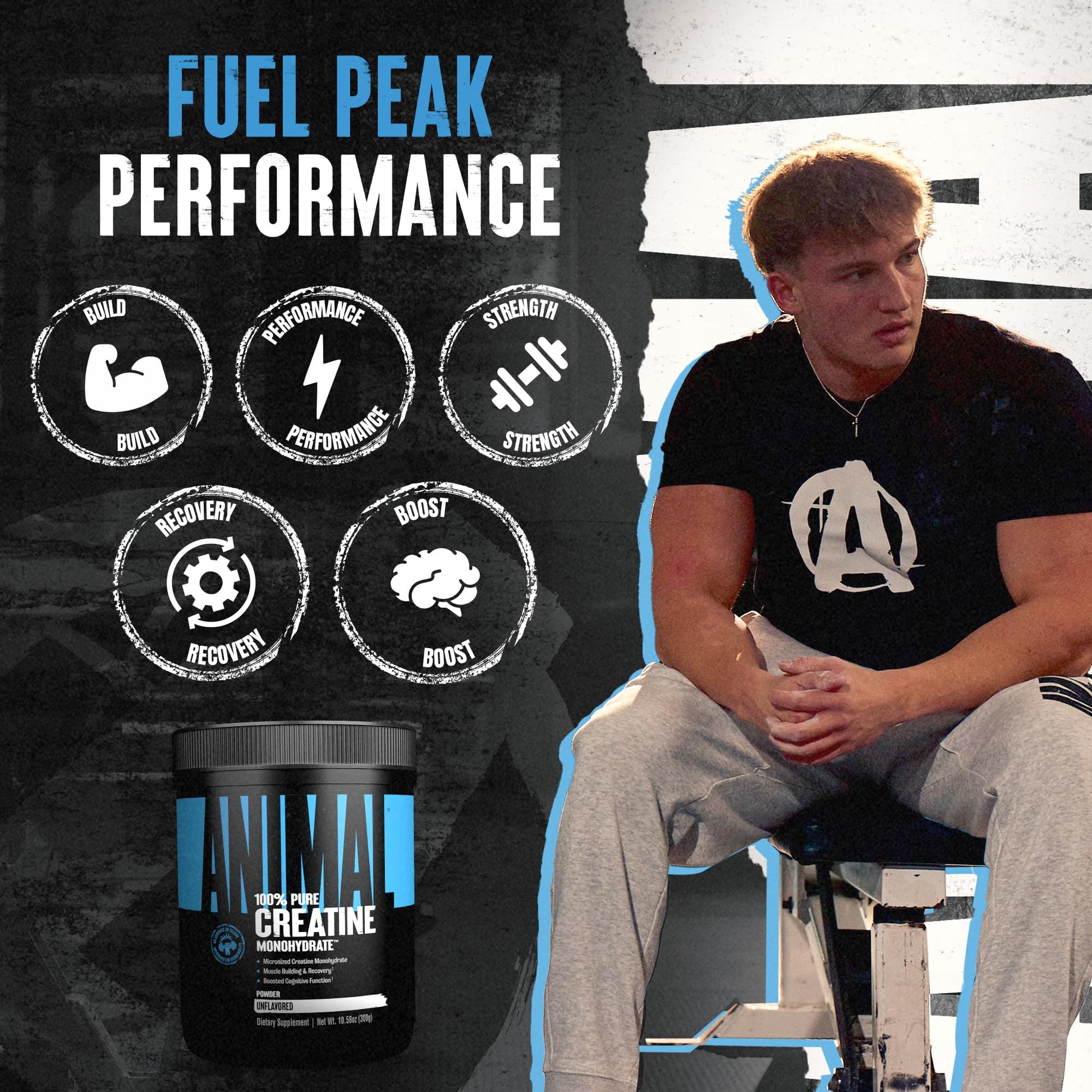 Animal Creatine Monohydrate Powder — Micronized for Muscle Recovery, Cellular Energy, and Daily Wellness — for Men and Women - PrimeBioHealth - canada supplements