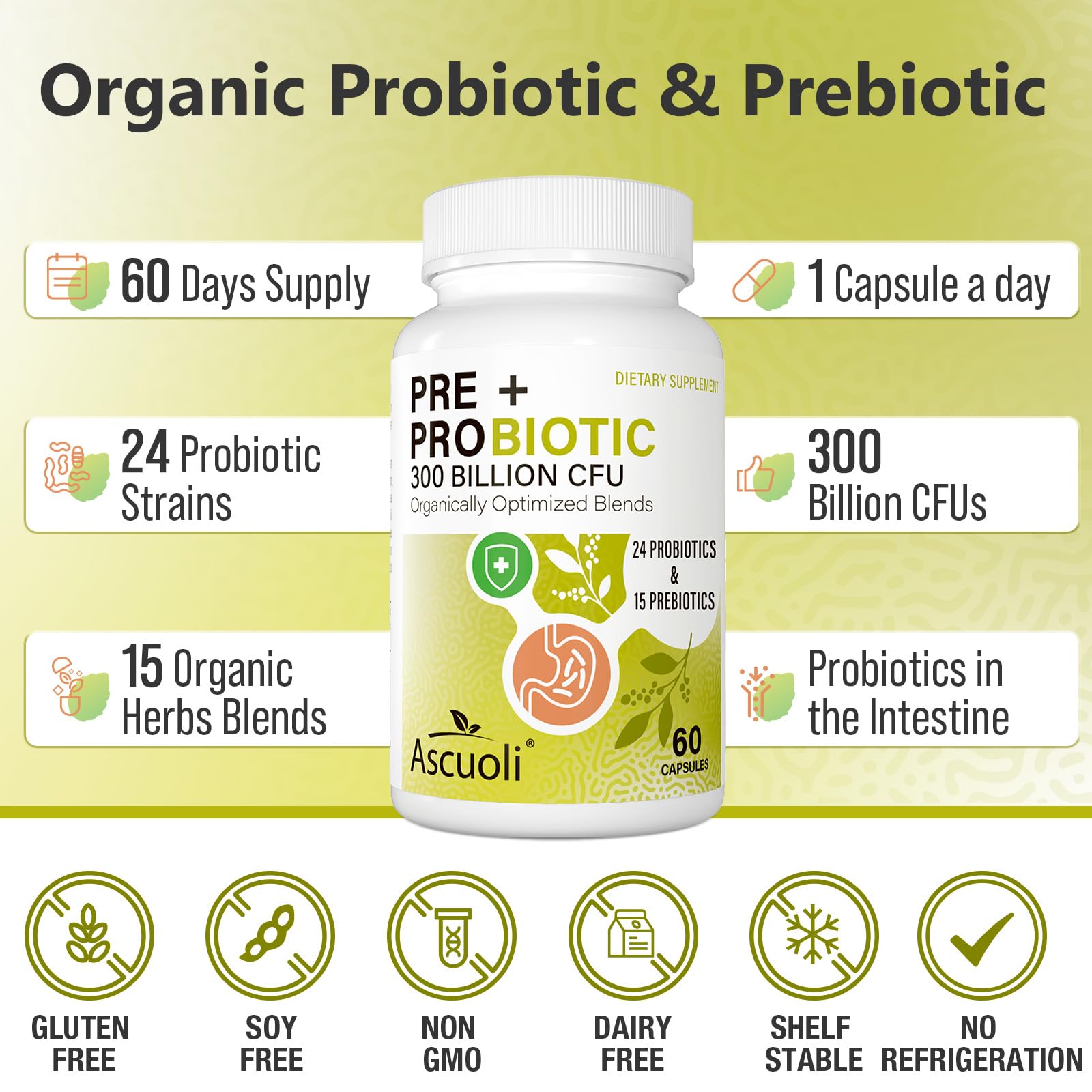 Ascuoli Probiotics for Women & Men - 300 Billion CFU, 24 Strains Probiotics + 15 Organic Herbs Blend, Daily Probiotic for Digestive Health, - PrimeBioHealth - canada supplements