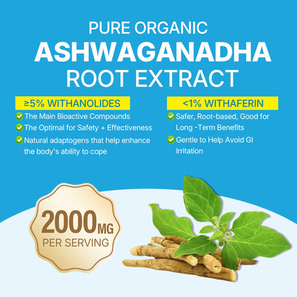 Ashwagandha Gummies 2000mg for Women Men - Sugar Free, Vegan - Organic Ashwagandha Root Extract Supplements Gummy & Vitamin D3 - PrimeBioHealth - canada supplements