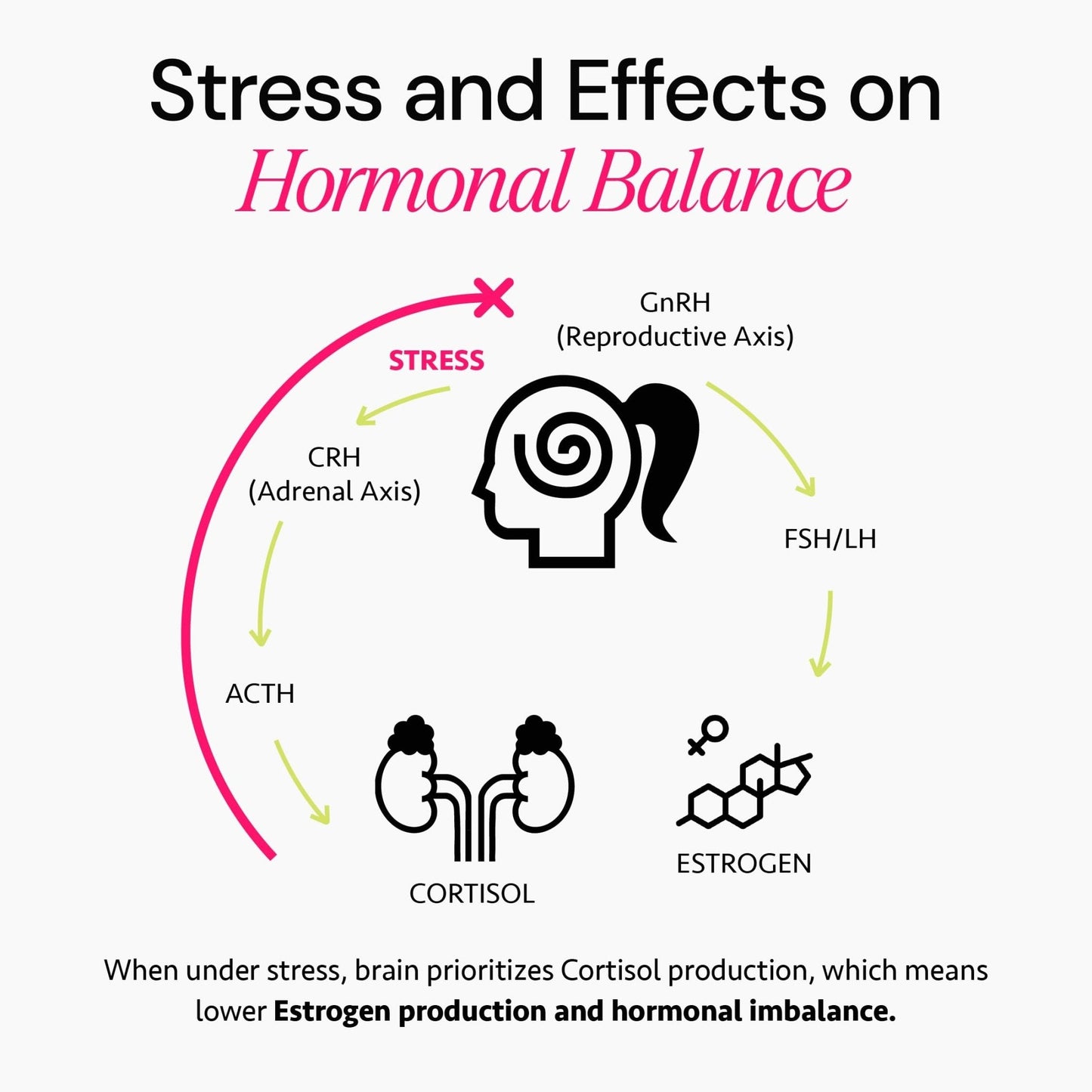 Ayurvedic Hormone Balance for Women | Cortisol Reducer | Mood, Energy, & Sleep Support | Regulates Estrogen | Stress Relief | Ashwagandha, Rhodiola, & Shatavari - PrimeBioHealth - canada supplements