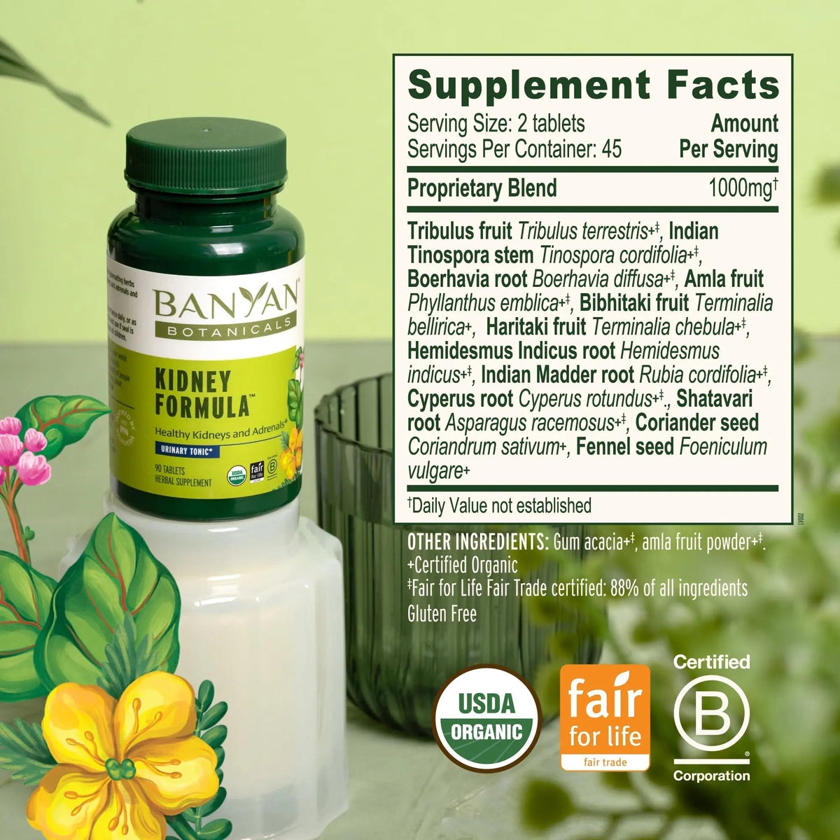 Banyan Botanicals Organic Kidney Formula–Urinary Tract Support & Detox Supplement–Gokshura & Punarnava for Fluid Balance & Systemic Cleansing–Cooling Genitourinary Tonic-90 Tablets-USDA Organic - PrimeBioHealth - canada supplements