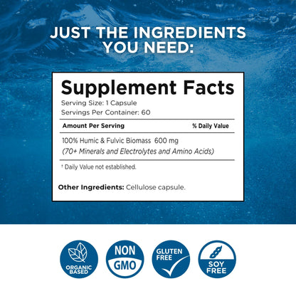Beam Minerals Complete Multi-Mineral Capsules | Electro-Boost Plant-Based Electrolytes and Micronutrients for Men and Women | Help to Boost Immunity, Support Gut Health - PrimeBioHealth - canada supplements