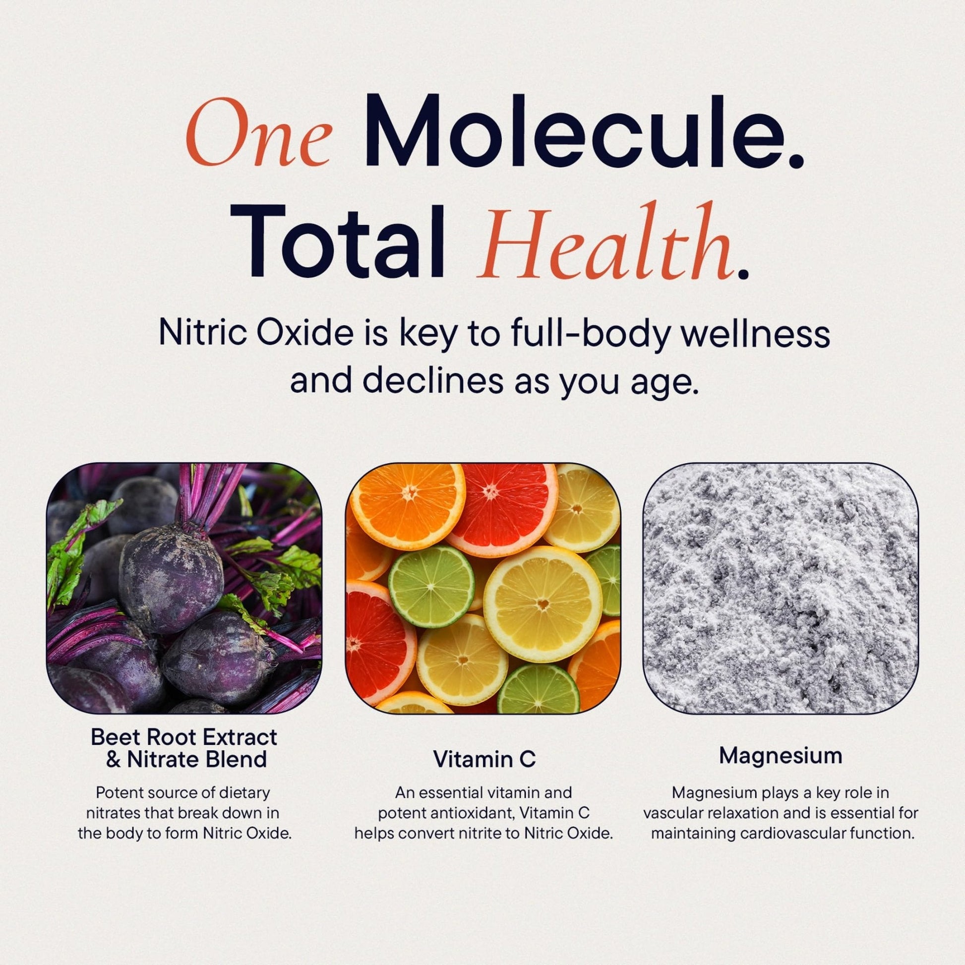 Berkeley Life Nitric Oxide Support Supplement - Nitric Oxide Booster for Men & Women - Blood Flow & Circulation with Beet Root Powder to Support Energy, Heart Health - PrimeBioHealth - canada supplements