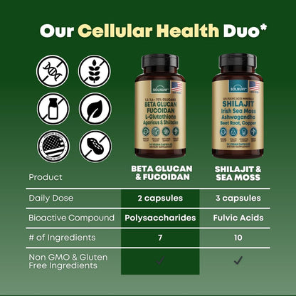 Beta Glucan & Fucoidan Brown Seaweed Extract - L Glutathione, Shiitake, Agaricus Blazei Mushroom, Vitamin C - Immune, Cellular, Healthy Aging Support - 90 Capsules, Non GMO, Gluten Free Supplement - PrimeBioHealth - canada supplements