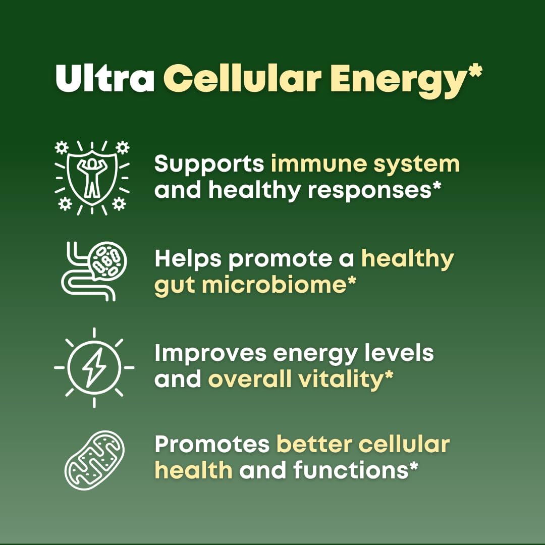 Beta Glucan & Fucoidan Brown Seaweed Extract - L Glutathione, Shiitake, Agaricus Blazei Mushroom, Vitamin C - Immune, Cellular, Healthy Aging Support - 90 Capsules, Non GMO, Gluten Free Supplement - PrimeBioHealth - canada supplements
