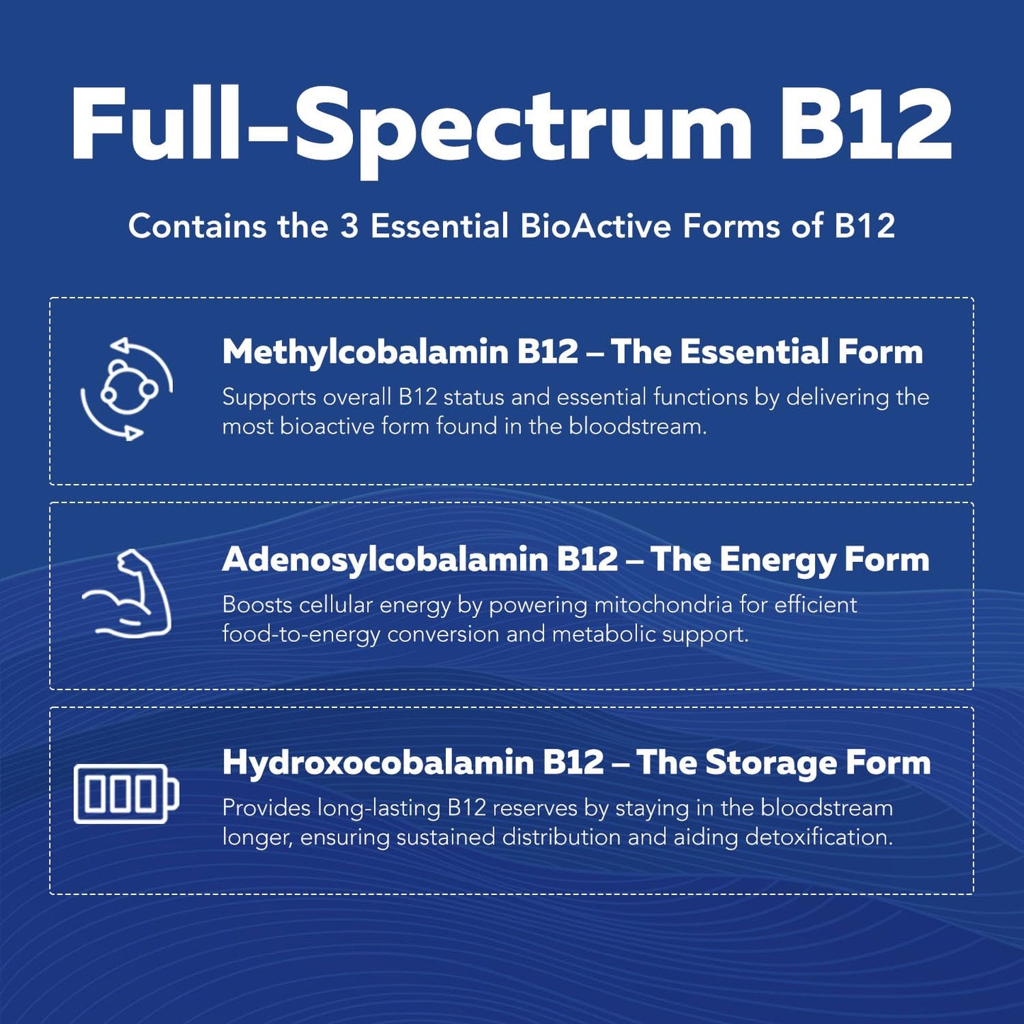 BioActive Vitamin B Complex - Blood Stream Ready, Methylated B Complex - Featuring Methylfolate, 3 BioActive Forms of B12, BenfoPure® B1 & Pantesin® B5 - 12 B Vitamins in Clinical Doses - 60 Servings - PrimeBioHealth - canada supplements