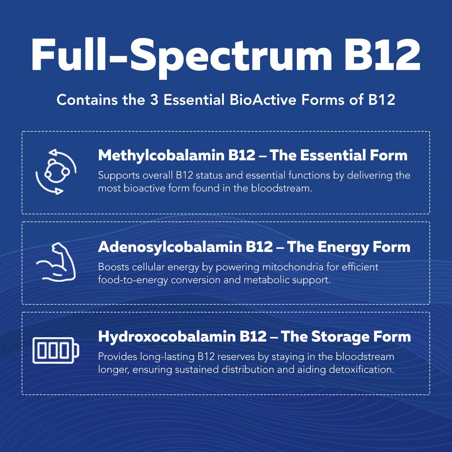 BioActive Vitamin B Complex - Blood Stream Ready, Methylated B Complex - Featuring Methylfolate, 3 BioActive Forms of B12, BenfoPure® B1 & Pantesin® B5 - 12 B Vitamins in Clinical Doses - 60 Servings - PrimeBioHealth - canada supplements
