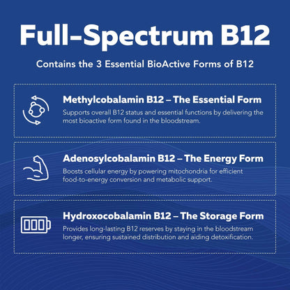 BioActive Vitamin B Complex - Blood Stream Ready, Methylated B Complex - Featuring Methylfolate, 3 BioActive Forms of B12, BenfoPure® B1 & Pantesin® B5 - 12 B Vitamins in Clinical Doses - 60 Servings - PrimeBioHealth - canada supplements