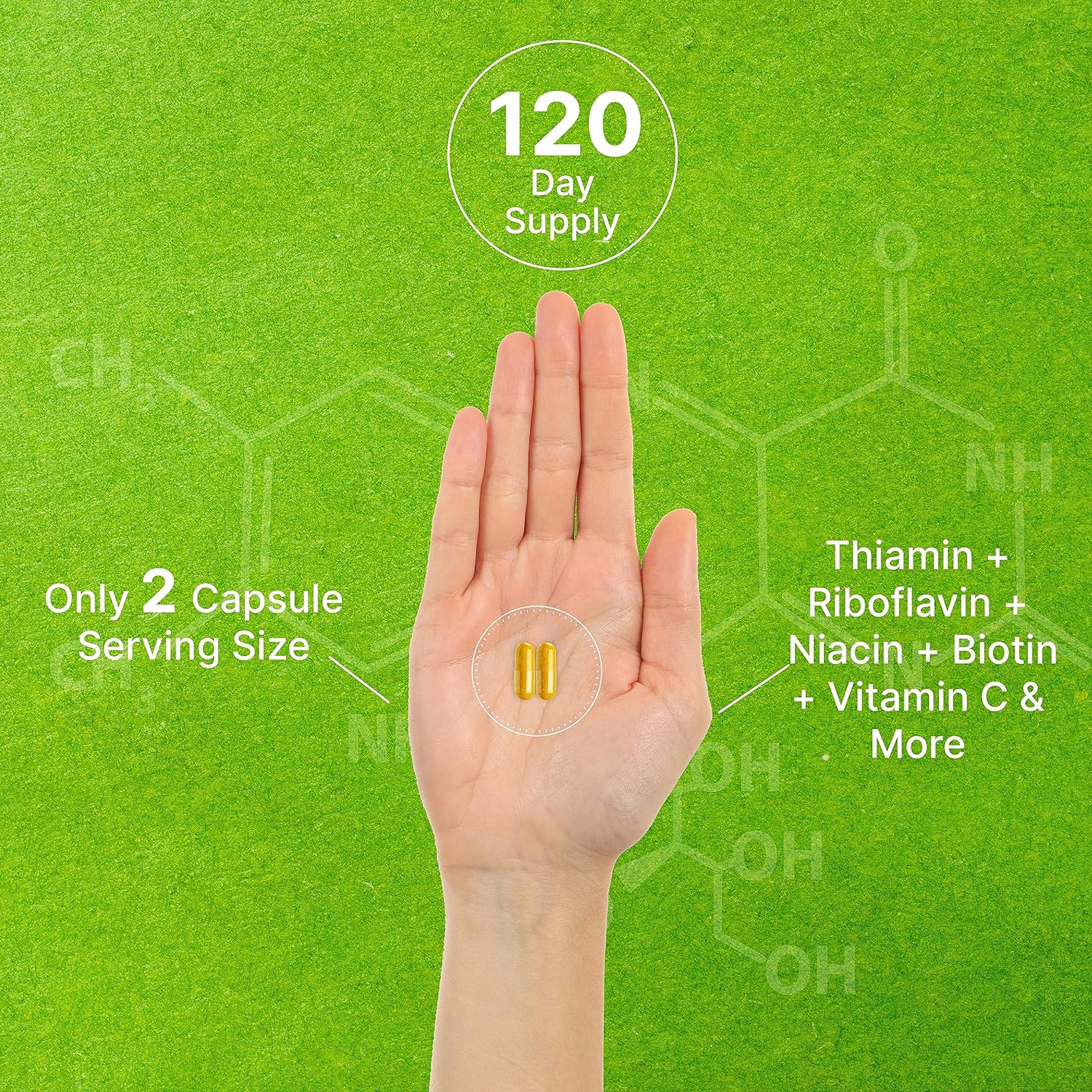 Bioactive Vitamin B Complex for Men & Women, 240 Veggie Capsules - Methylated B Complex & Esterified Vitamin C – High Potency & Easy Absorption – Immune, Energy & Metabolism Supplement – Non-GMO - PrimeBioHealth - canada supplements