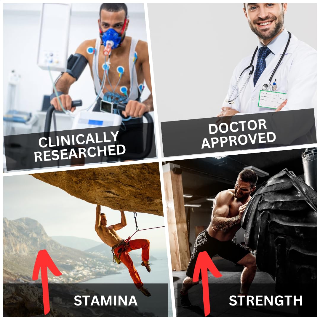 BioImmune Longjack Tongkat Ali Ultra Concentrated Purified Extract Capsules | Strength Muscle Mass, Drive, Performance - PrimeBioHealth - canada supplements