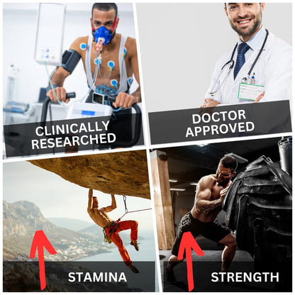 BioImmune Longjack Tongkat Ali Ultra Concentrated Purified Extract Capsules | Strength Muscle Mass, Drive, Performance - PrimeBioHealth - canada supplements