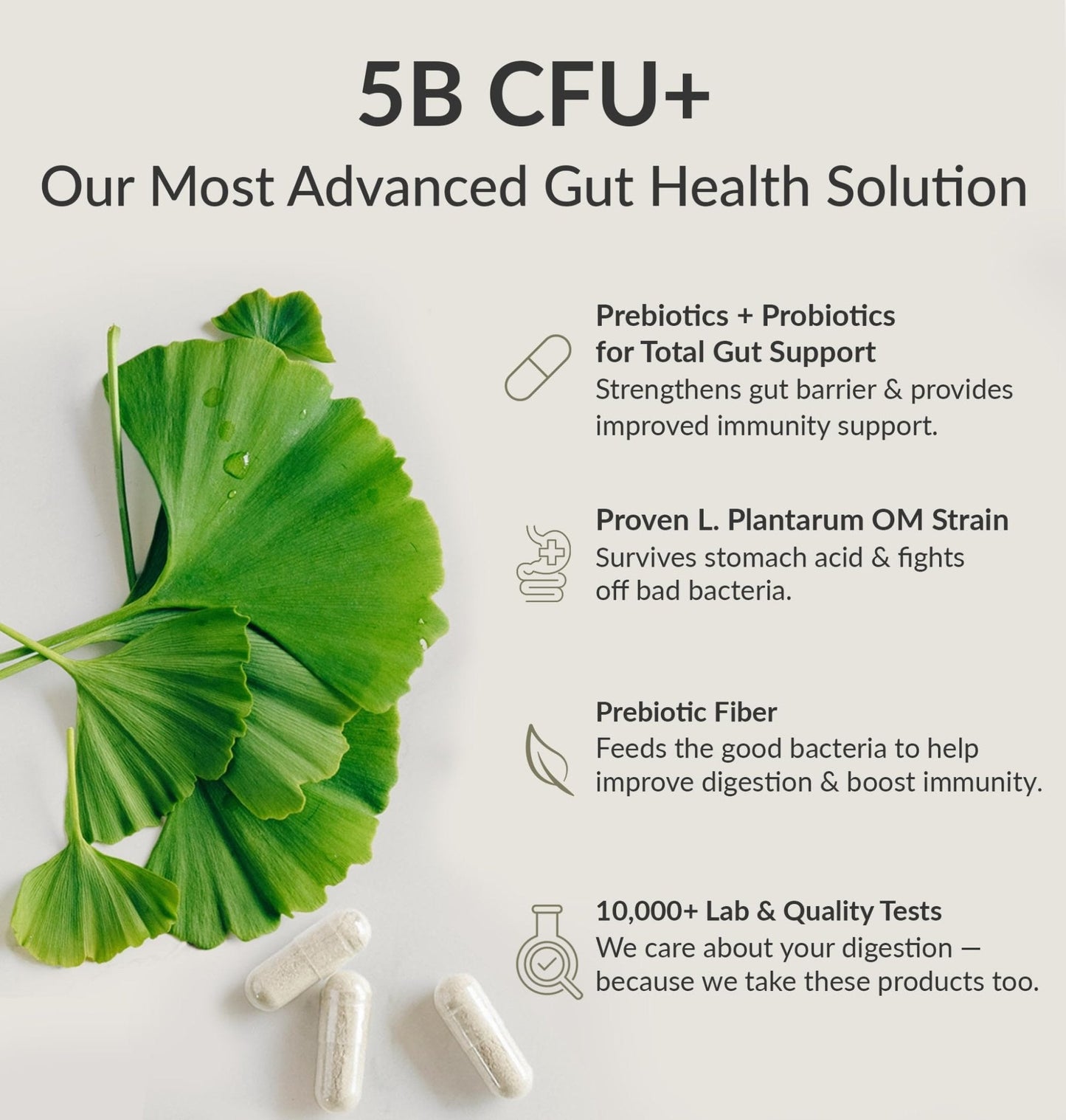 BIOptimizers Probiotic Breakthrough – Lactobacillus Plantarum OM Probiotics & Prebiotics Health Supplement for Gut, Digestive & Immune Support Probiotics - PrimeBioHealth - canada supplements