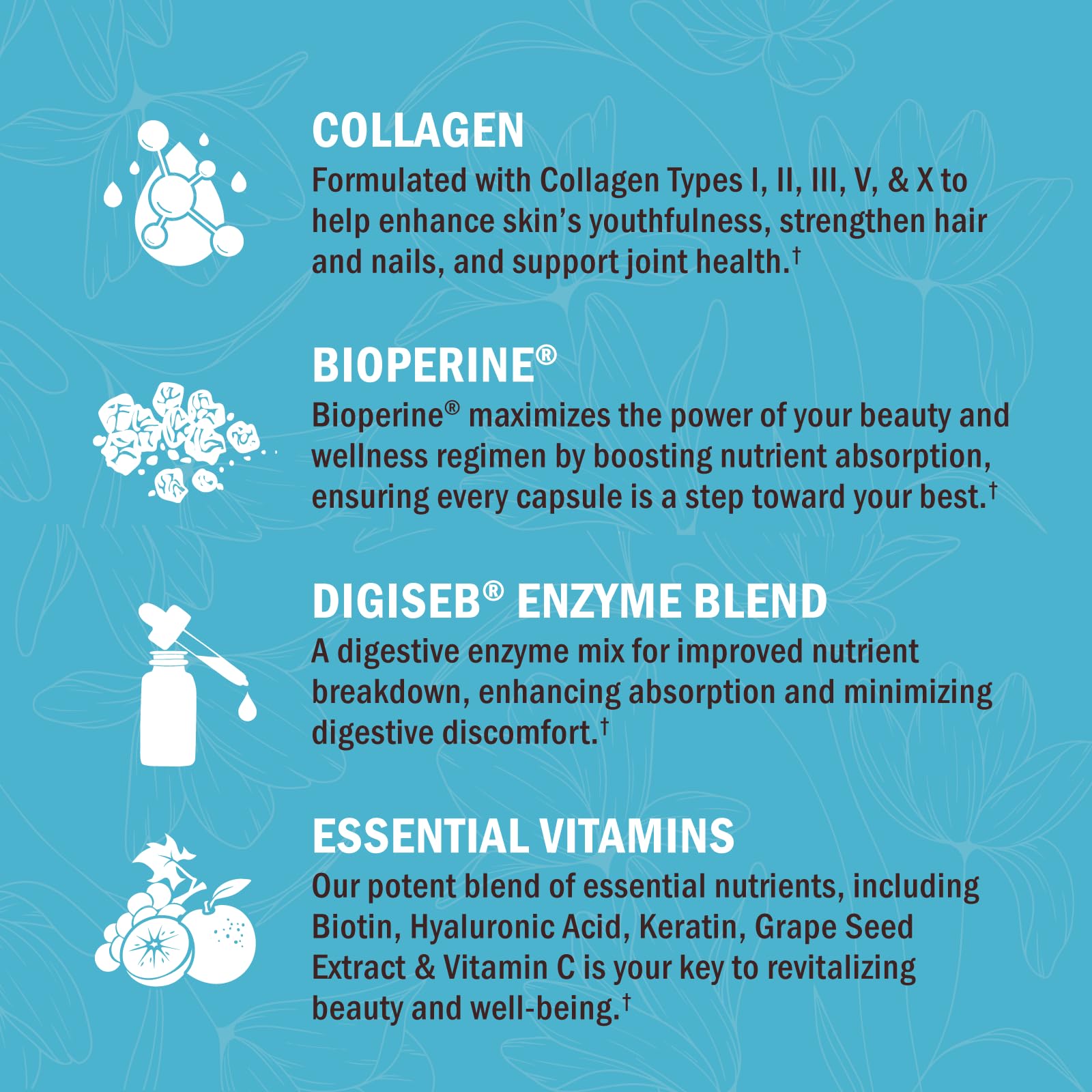 BioSchwartz Hydrolyzed Collagen Peptide Capsules - Multi Collagen Supplements for Women Types I, II, III, V, X with Vitamin C, Biotin, - PrimeBioHealth - canada supplements