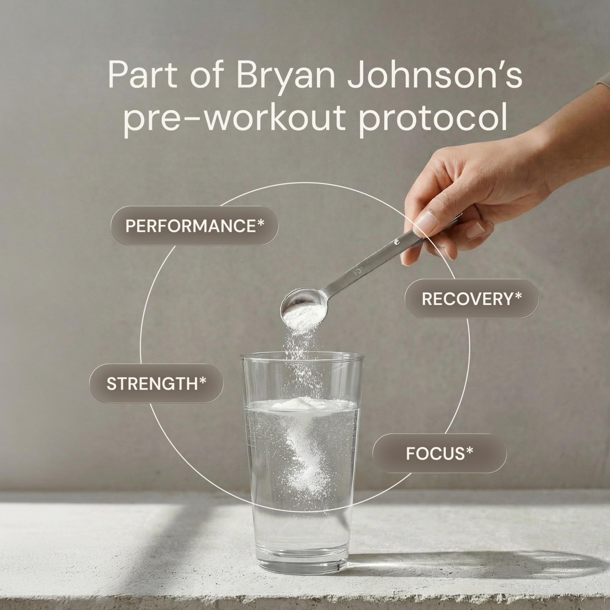 Blueprint Bryan Johnson Creatine Monohydrate Powder – Amino Acid Powder - Supplement Supports Muscle Growth, Recovery, Strength & Focus – Unflavored Creatine for Women & Men – 5g Dose – 100 Servings - PrimeBioHealth - canada supplements