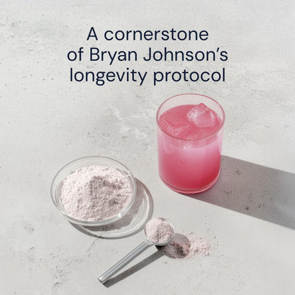 Blueprint Bryan Johnson Longevity Mix - Muscle Builder & Recovery Supplement - Promotes Focus and Balanced Mood - Magnesium, Creatine, L-Theanine - PrimeBioHealth - canada supplements