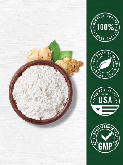 Carlyle Probiotic and Prebiotic Powder | 20 Billion CFU | 4.76 oz | Organic Fiber Blend | for Women and Men | Vegetarian, Non-GMO, - PrimeBioHealth - canada supplements