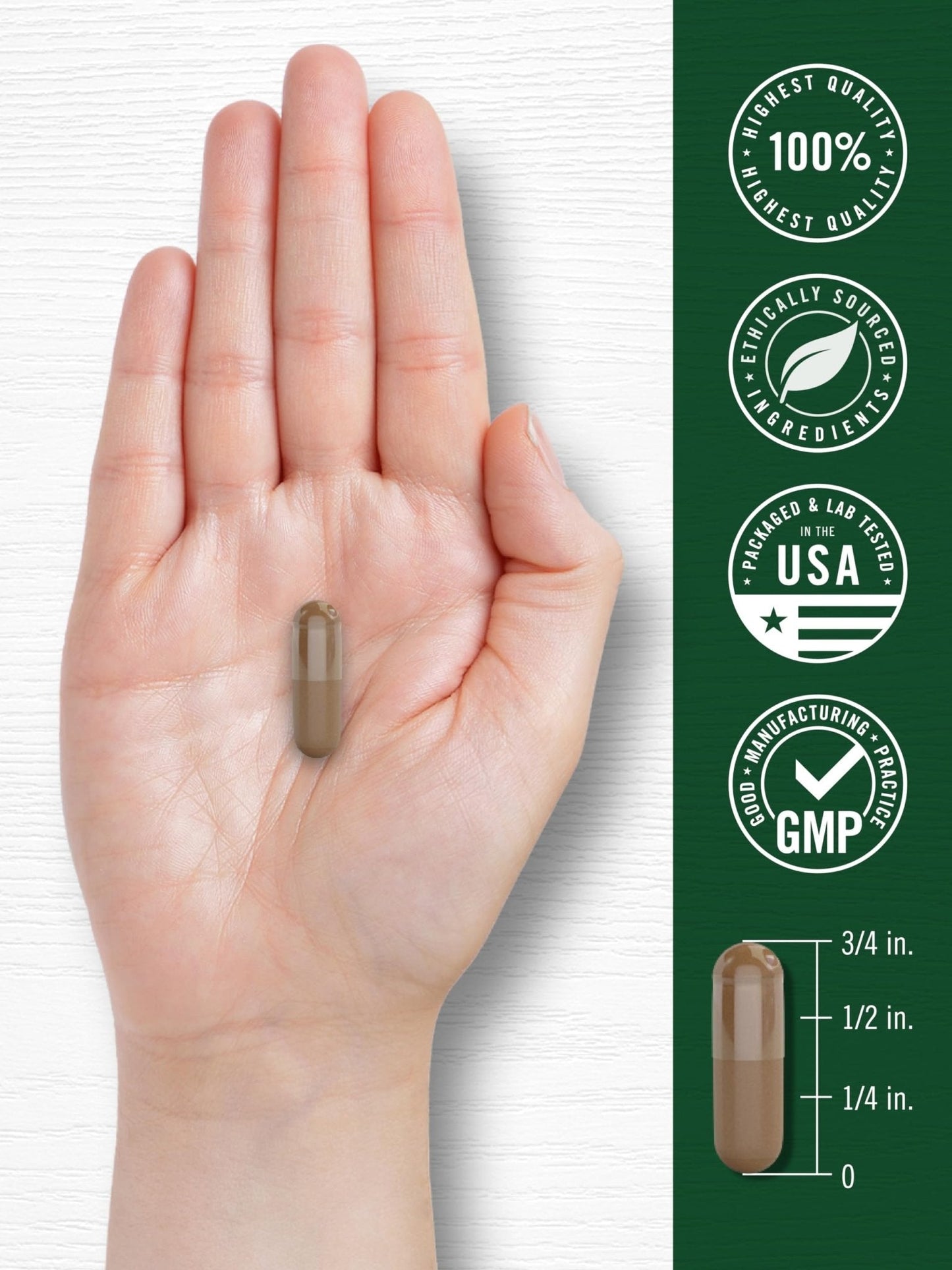 Carlyle Valerian Root Capsules | 240 Count | Herb Extract Supplement | Non-GMO, Gluten Free - PrimeBioHealth - canada supplements