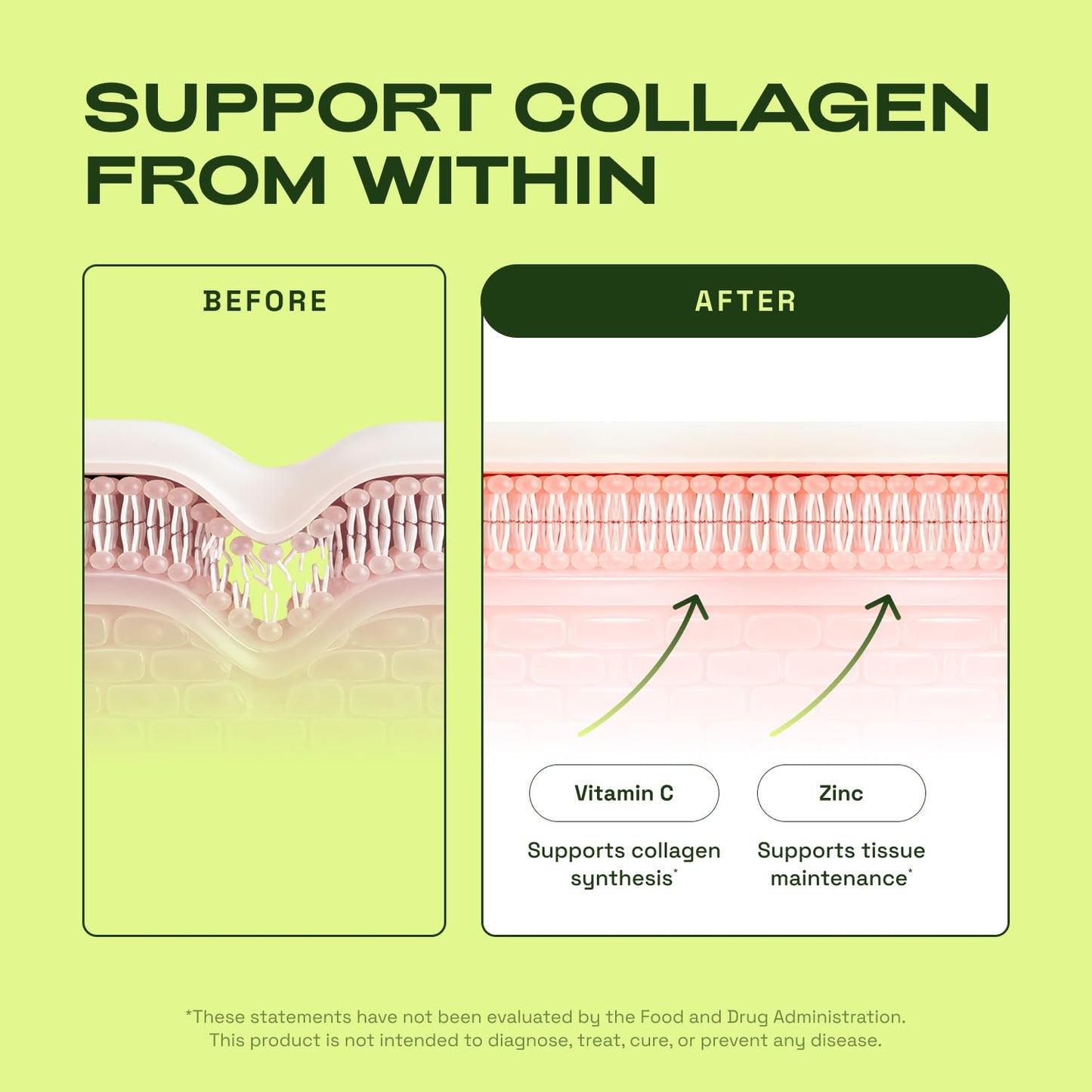 Cata-Kor Hair Skin and Nails Vitamins for Women – Biotin Collagen Hair Supplement | Hyaluronic Acid | Calcium AKG | MSM | Vitamin D3 K2 & C – Hair Growth Vitamins – 30 Day Supply (1 Pack) - PrimeBioHealth - canada supplements