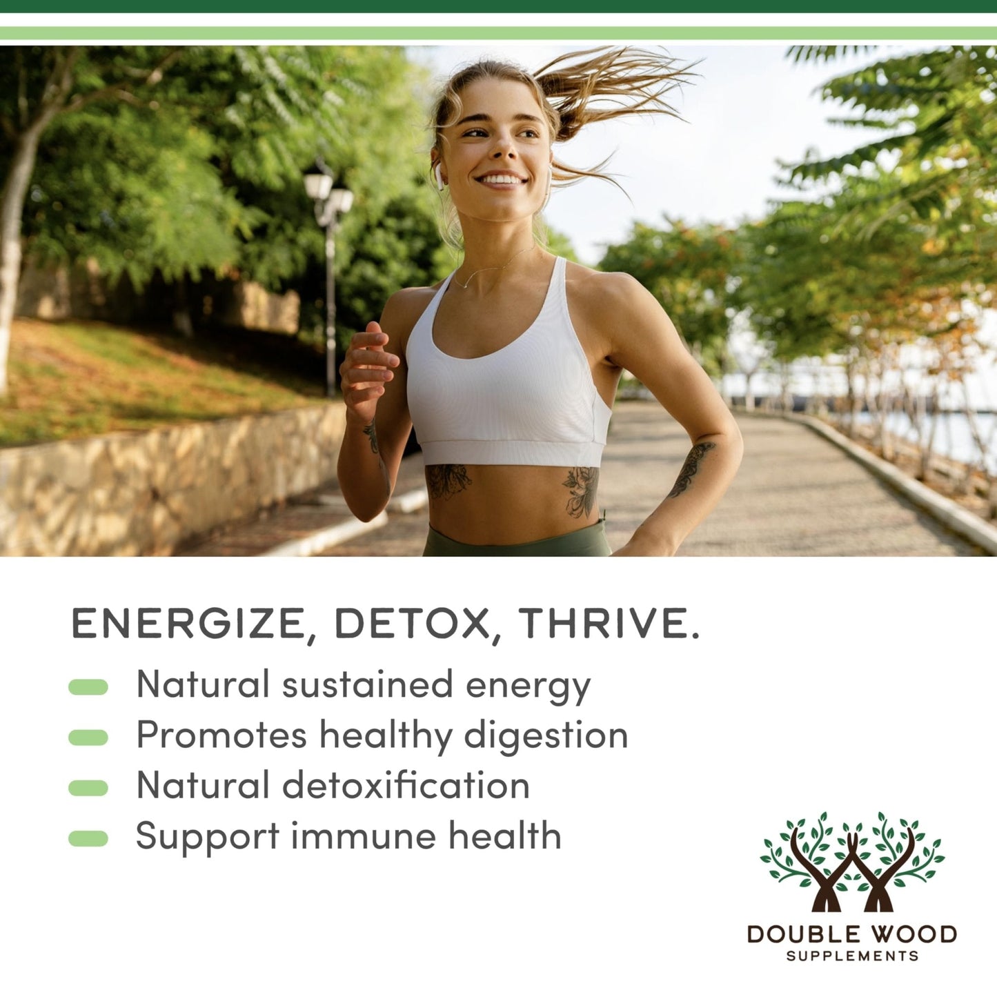 Chlorophyll Liquid Drops - for Digestion, Gut Health, Energy and Detox - Vegan Safe - PrimeBioHealth - canada supplements