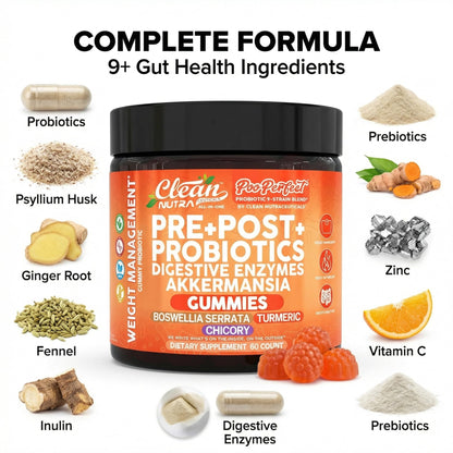 Clean Nutra Prebiotic Postbiotic Digestive Enzymes Gummies with Chicory Root, Boswellia Serrata, Turmeric, and Akkermansia | Pre+Post Probiotics Supplement - PrimeBioHealth - canada supplements