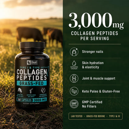 Collagen Peptides Capsules 360 Count - Grass Fed Bovine Hydrolyzed Collagen Pills - Hair, Skin & Nails, Joint Support - Collagen Supplements for Women & Men - PrimeBioHealth - canada supplements