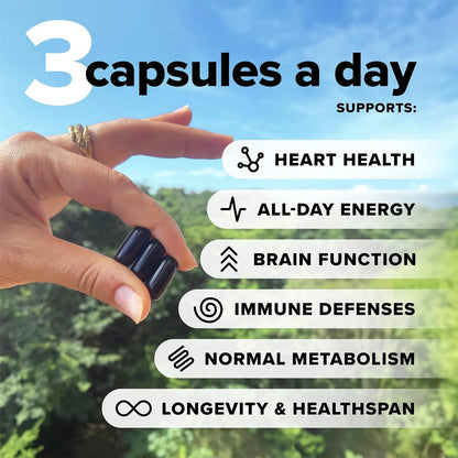 Complement Essential Vegan Multivitamin for Men & Women (60 Servings, 180 Capsules) with Omega-3 DHA & EPA, B12, Vitamin D3 & K2 - PrimeBioHealth - canada supplements