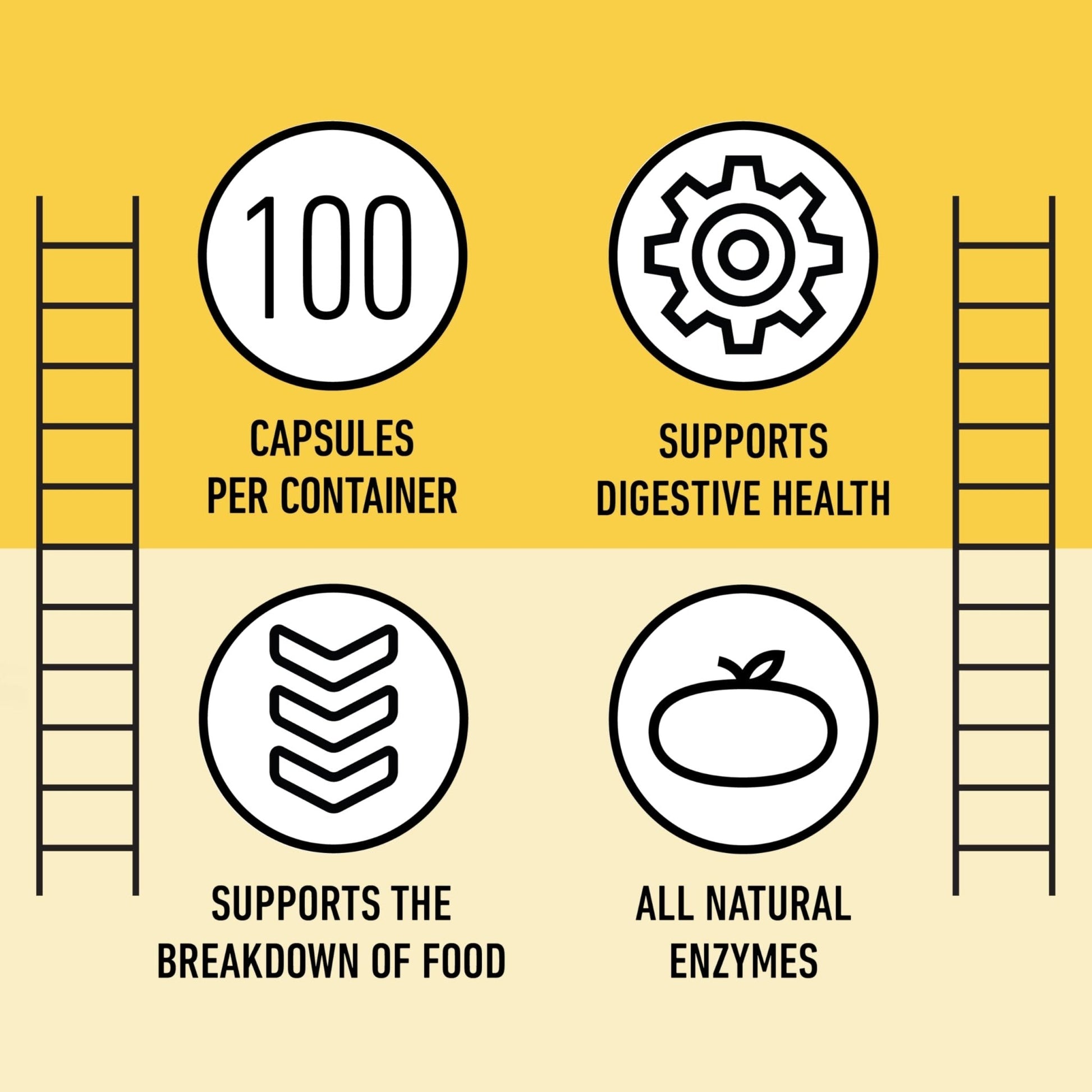 Complete Natural Products Digestive Enzyme Capsules, 550mg, 100ct | Plant-Based Formula - PrimeBioHealth - canada supplements