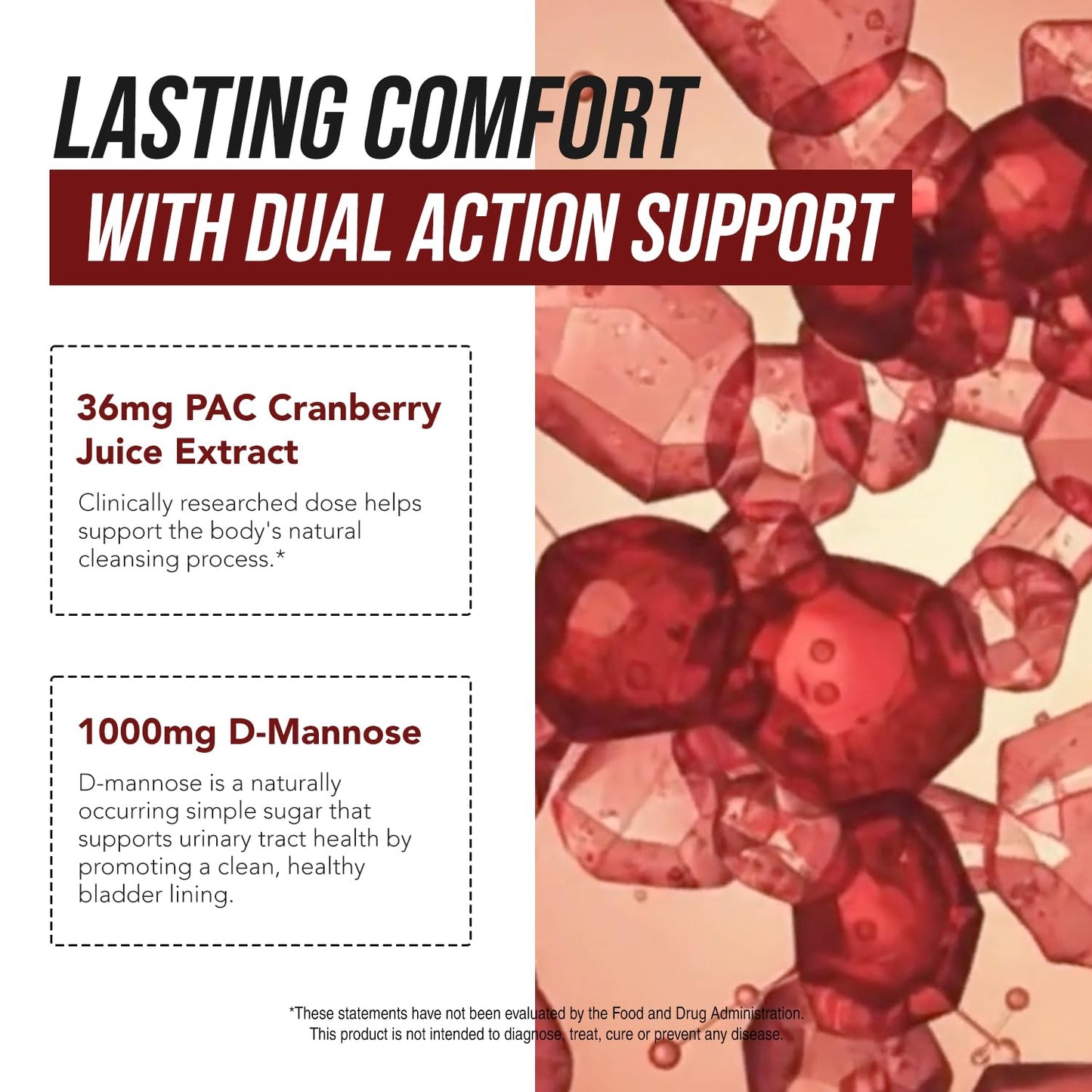 CranEaze®: Cranberry Juice Extract Plus D-Mannose – 36 mg PAC, 100% Soluble PAC - Supports Urinary Tract Health – Most Effective Cranberry Pills for Women, UTI Cranberry Supplement - 60 Capsules - PrimeBioHealth - canada supplements