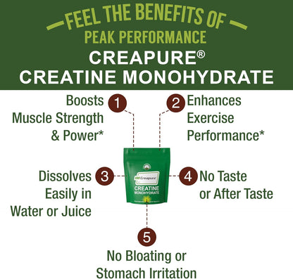 Creapure Creatine Monohydrate Powder. Ultra High Purity German Made Creatine with Nothing Else Added at All. Pure and Unflavored for Men & Women. Zero Bloating, No Sugar, Vegan Friendly Supplement - PrimeBioHealth - canada supplements