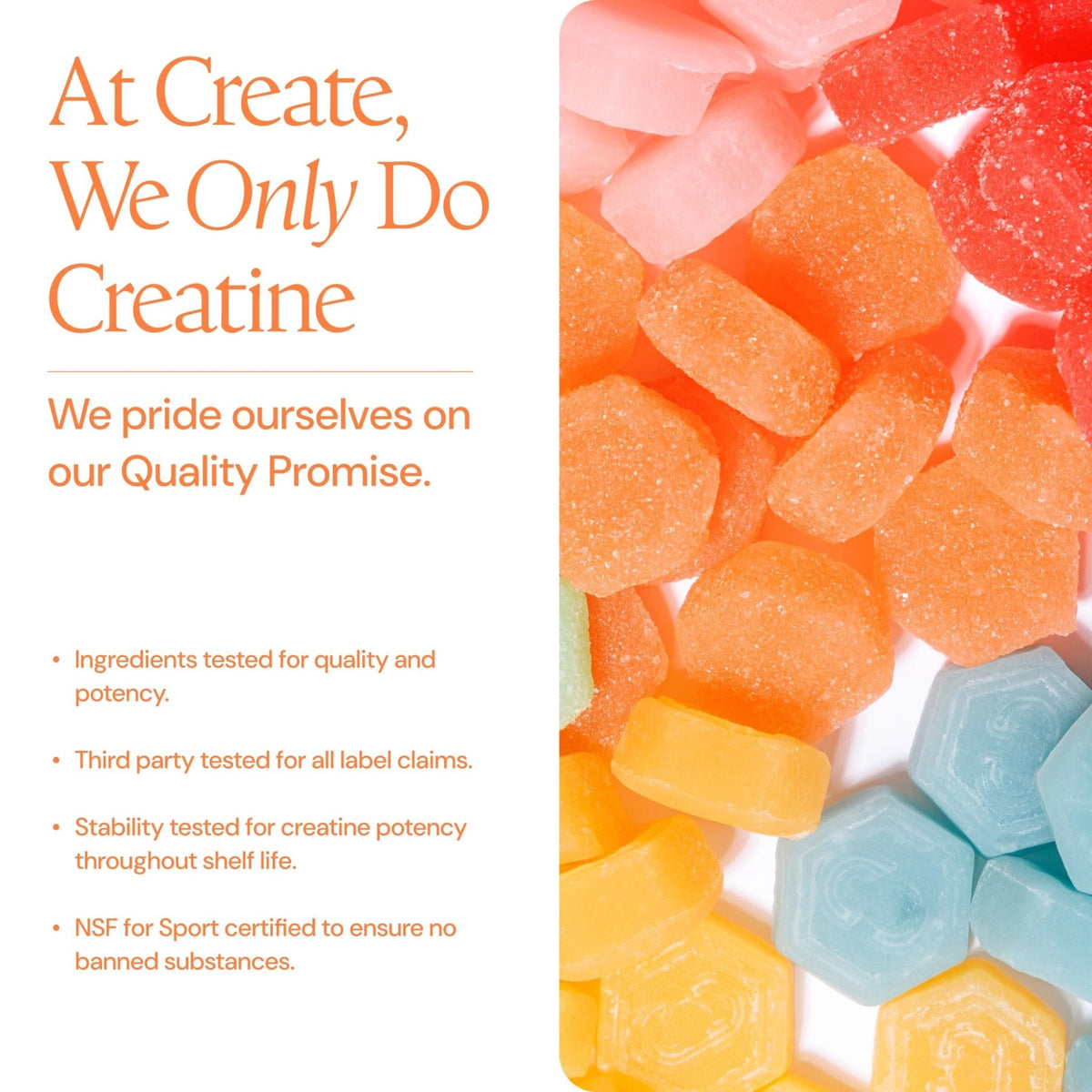 Create Creatine Gummies for Men & Women – NSF Certified, Made with Creapure Creatine Monohydrate, Great Tasting, Anti-Melting Formula, 30ct Standup Pouch, 90 Gummies (Variety Pack) - PrimeBioHealth - canada supplements