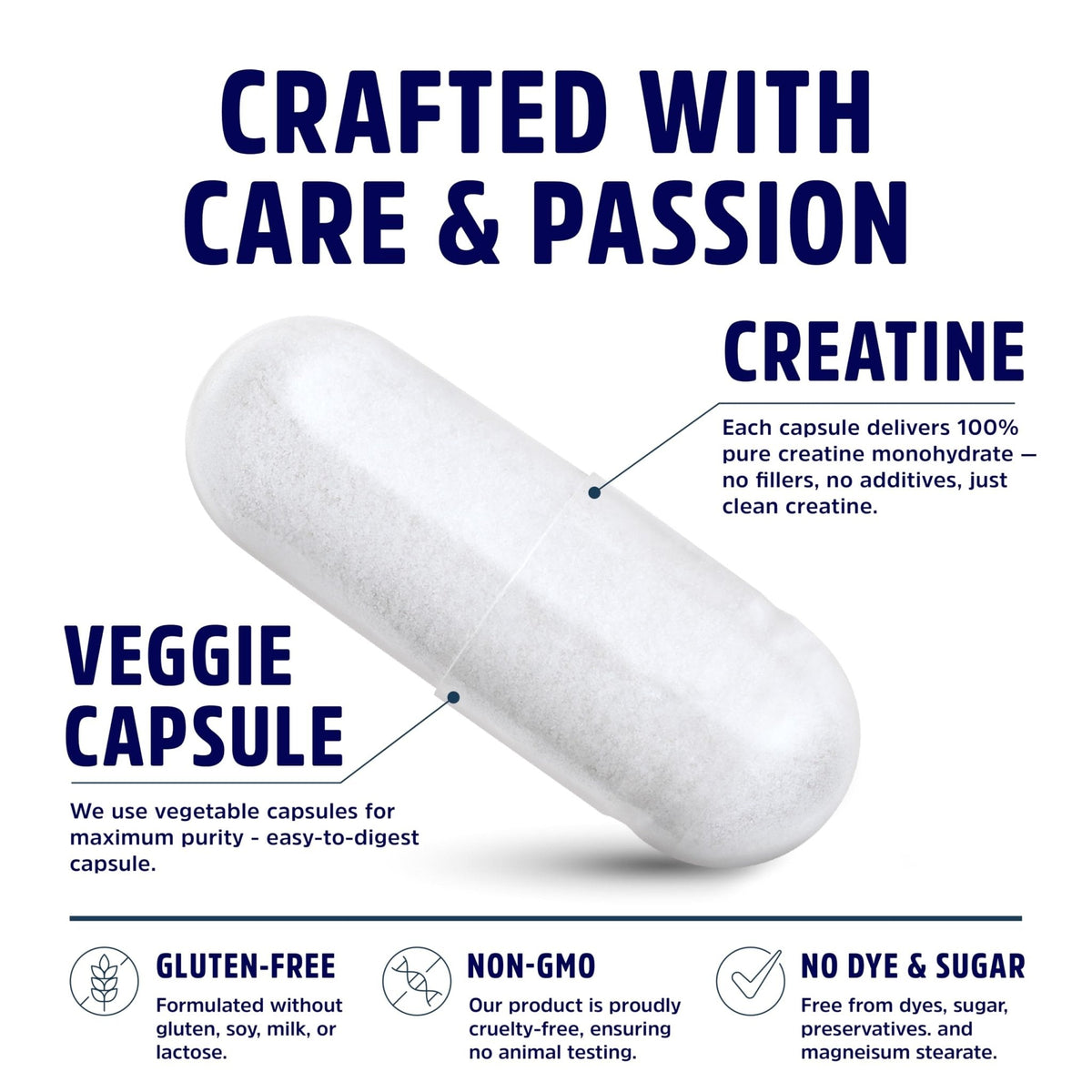 Creatine Monohydrate Capsules 5G | 60 Servings | Vegan | 4 Caps per Serving | Micronized Creatine Pills 5000mg | 240 Capsules | Creatine Pills For Men & Women - PrimeBioHealth - canada supplements