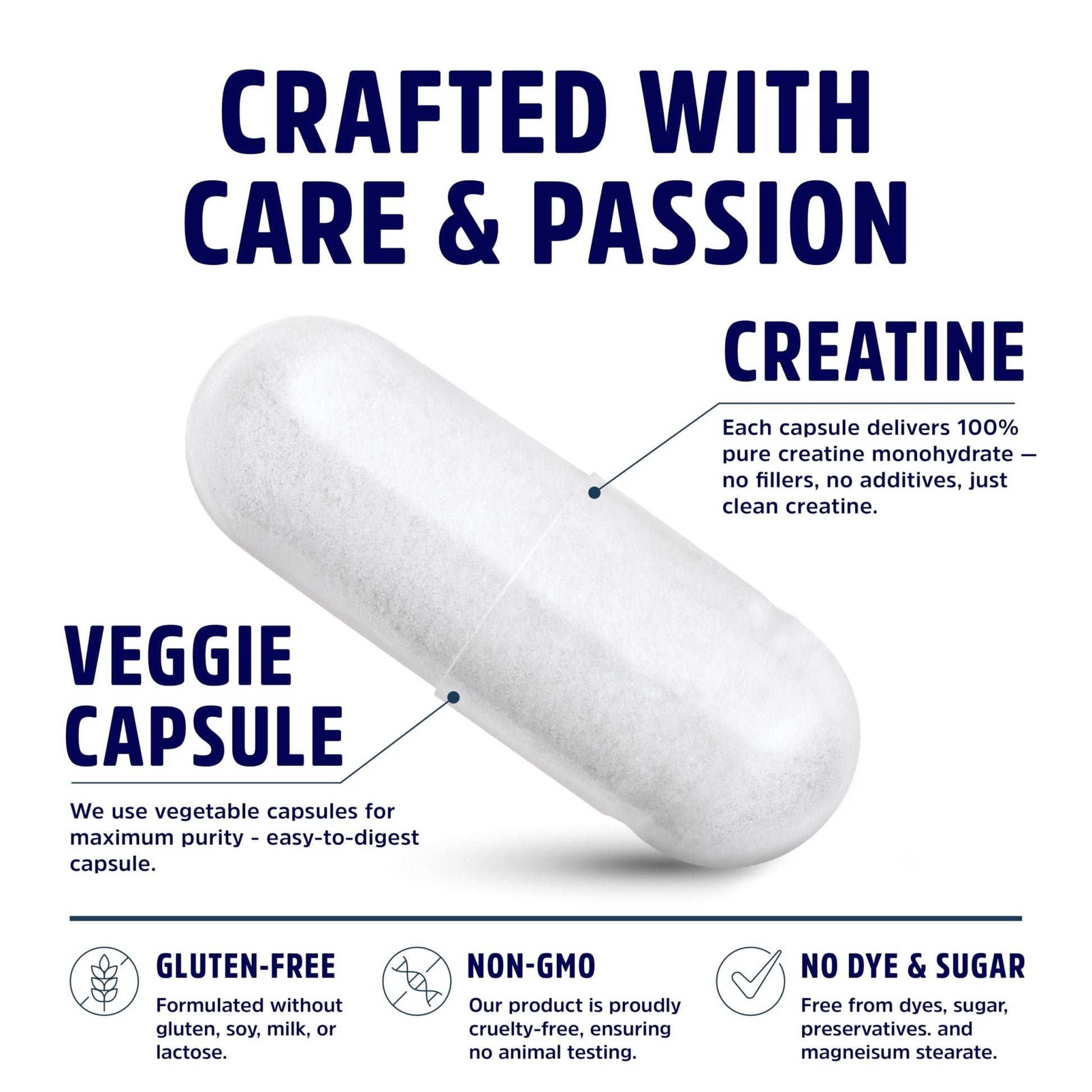 Creatine Monohydrate Capsules 5G | 60 Servings | Vegan | 4 Caps per Serving | Micronized Creatine Pills 5000mg | 240 Capsules | Creatine Pills For Men & Women - PrimeBioHealth - canada supplements