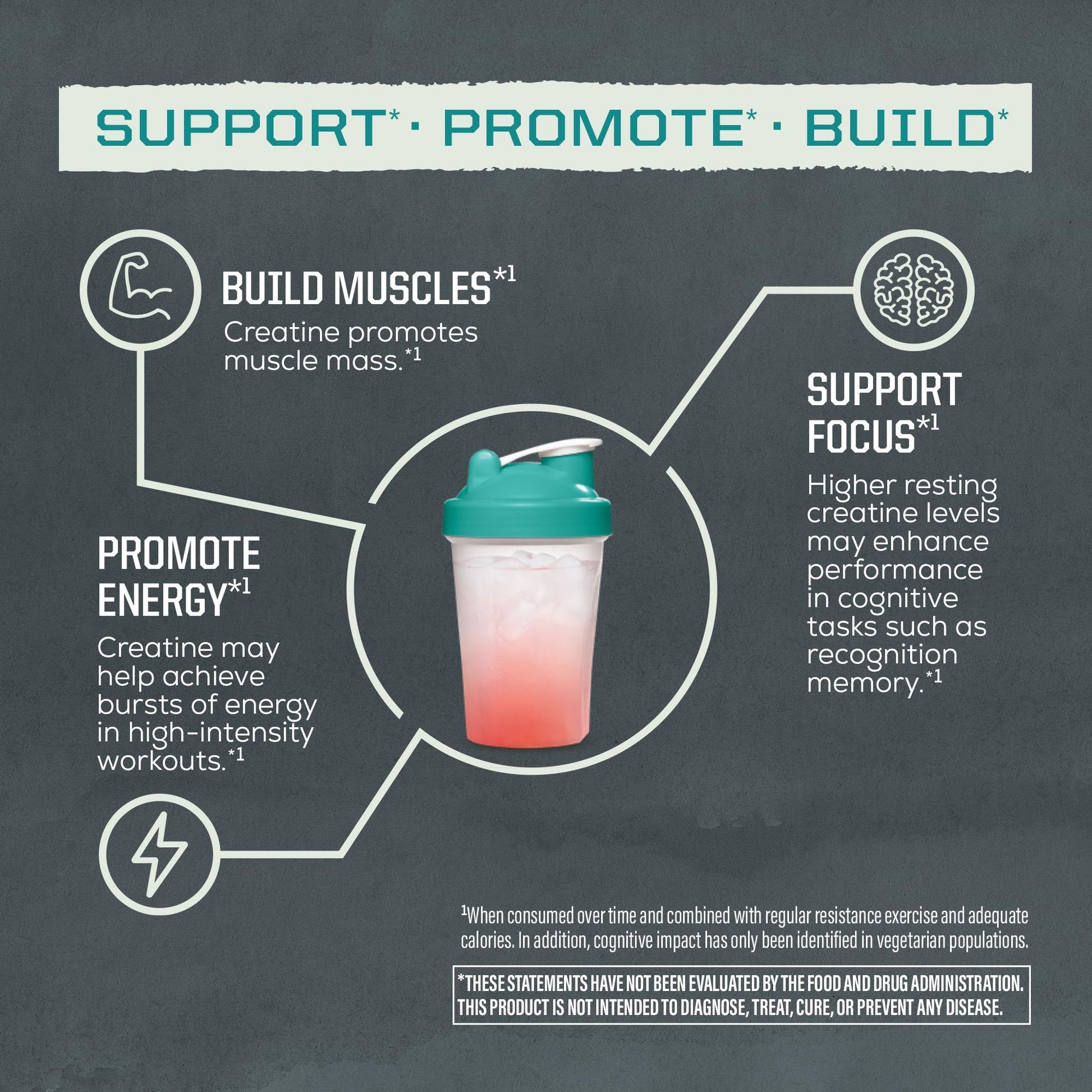 Creatine Monohydrate Powder Micronized PreWorkout Recovery Supplement | Support Muscle Building Strength Training Cognition | Vegan & Keto Friendly Easily Mixes - PrimeBioHealth - canada supplements