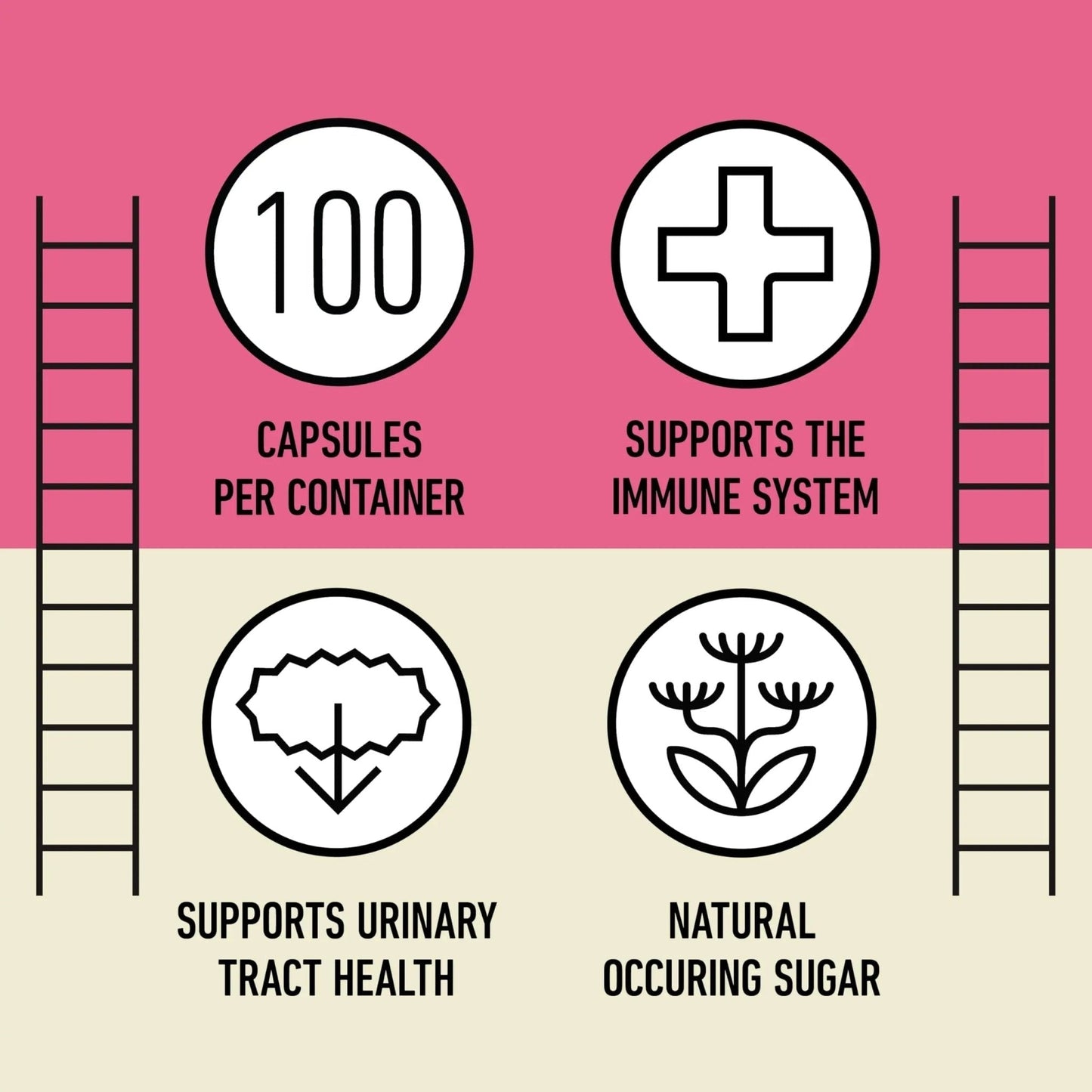 D Mannose 520mg Capsules - Organic D Mannose Supplement for UT Support, Urinary Tract Bladder Health Pills, Plant Based Formula, Vegan Non GMO, No Fillers, 500 Capsule Count Made USA Certified Kosher - PrimeBioHealth - canada supplements