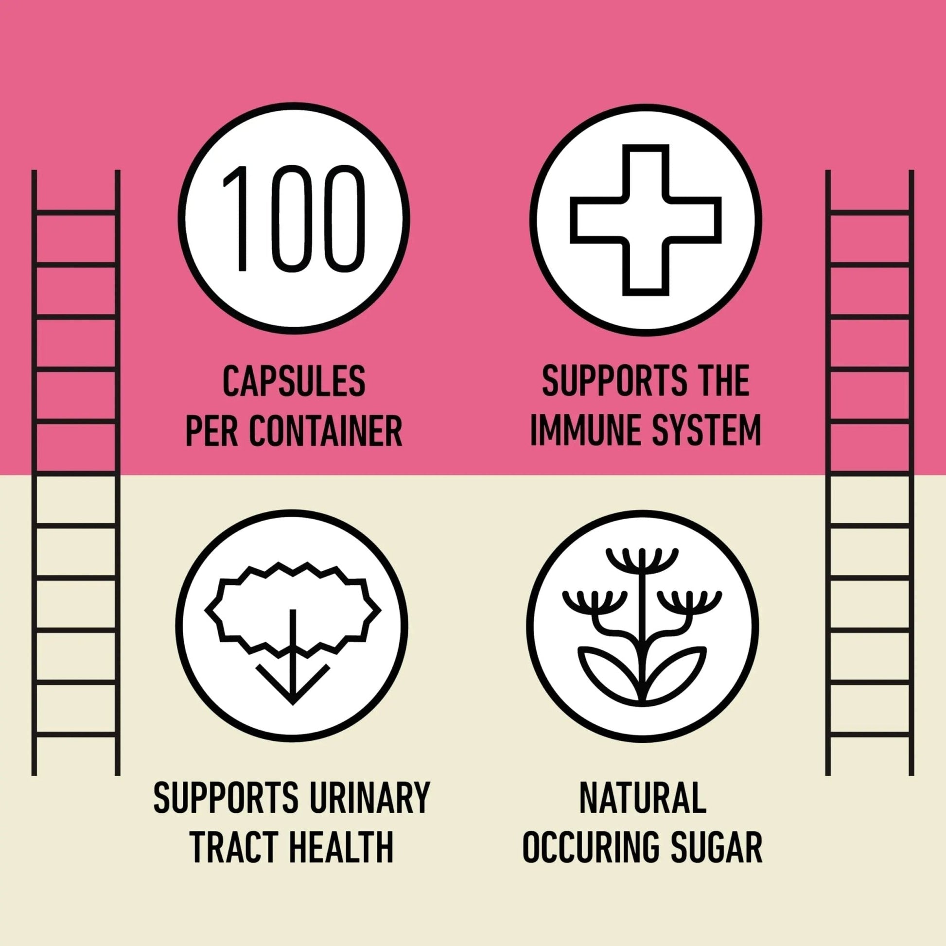 D Mannose 520mg Capsules - Organic D Mannose Supplement for UT Support, Urinary Tract Bladder Health Pills, Plant Based Formula, Vegan Non GMO, No Fillers, 500 Capsule Count Made USA Certified Kosher - PrimeBioHealth - canada supplements