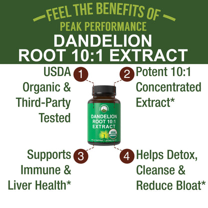 Dandelion Root Extract. USDA Organic Vegan Herbal Liquid Tincture Dandelions Supplement for Women and Men. Leaf Tonic for Immune, Liver, Gut Health. Zero Sugar, Gluten Free Supplements Not Capsules - PrimeBioHealth - canada supplements