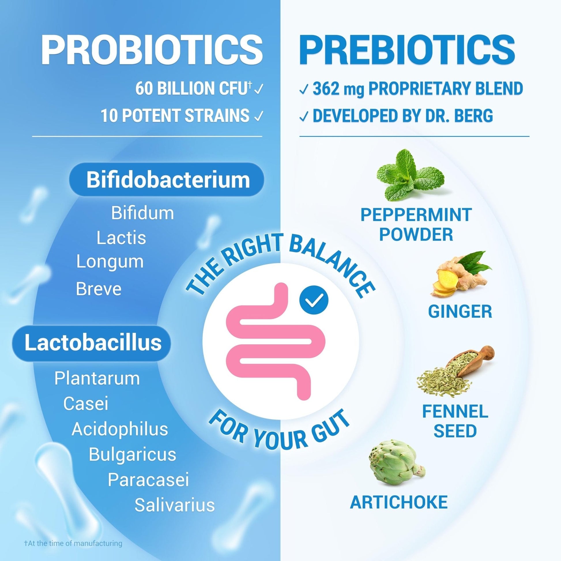 Dr. Berg Probiotic Supplement (60 Billion CFUs) - Helps Ease Occasional Constipation, Diarrhea, Gas & Bloating* - Pre and Probiotics for Digestive Health - 30 Probiotic Capsules - PrimeBioHealth - canada supplements