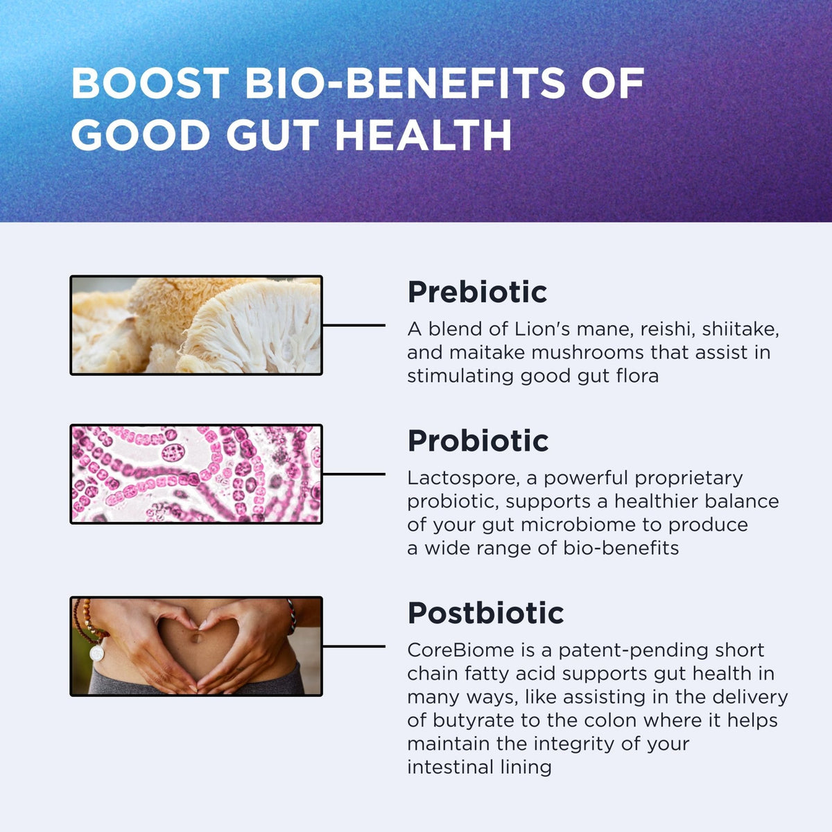DR. EMIL NUTRITION Women & Men Total Gut Health Complex | Prebiotic + Probiotic + Postbiotic Gut Health Supplements - PrimeBioHealth - canada supplements