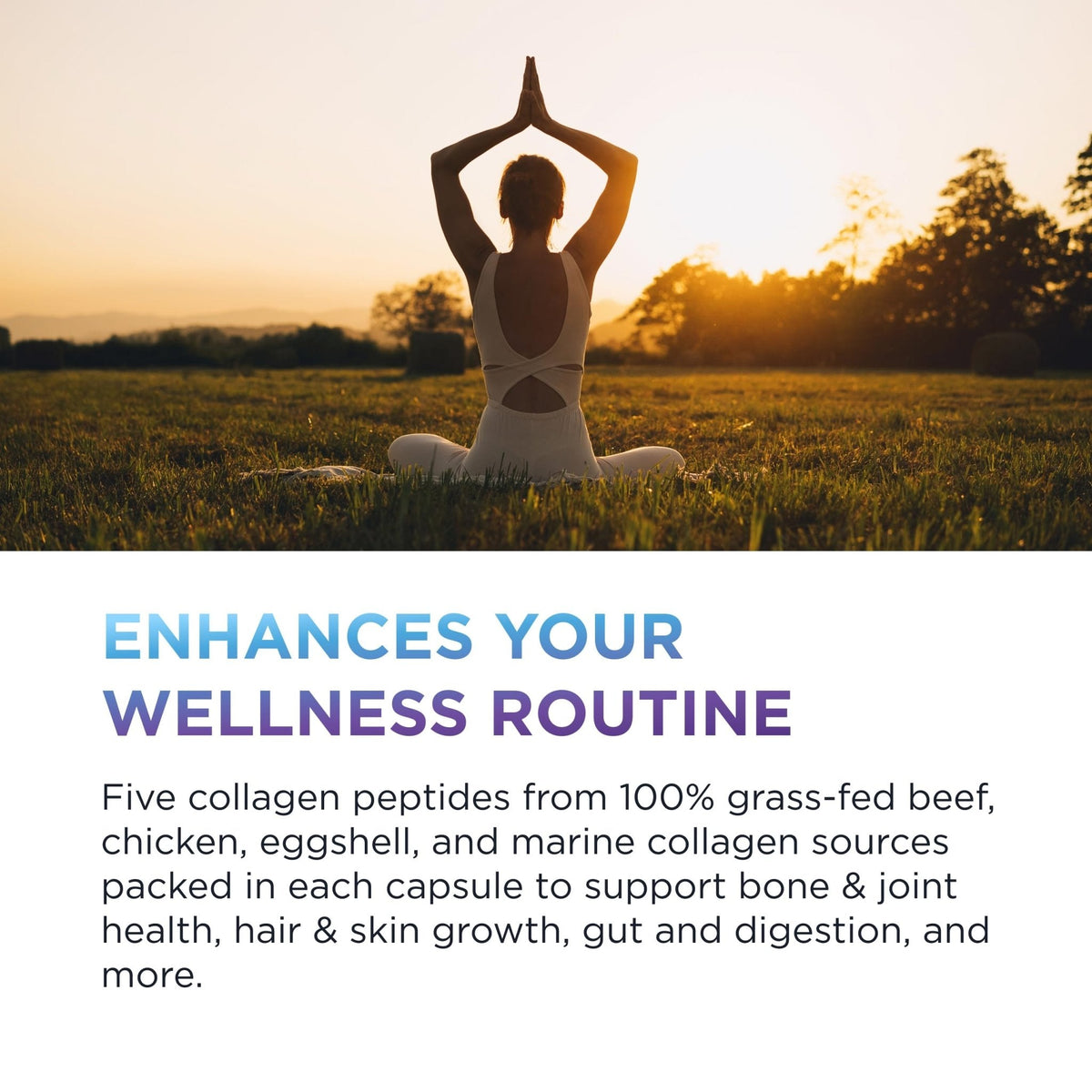 DR. EMIL NUTRITION Women's Multi Collagen Pills | Collagen Supplements | Support Hair, Skin, Nails & Joints | Hydrolyzed Collagen Supplements - PrimeBioHealth - canada supplements