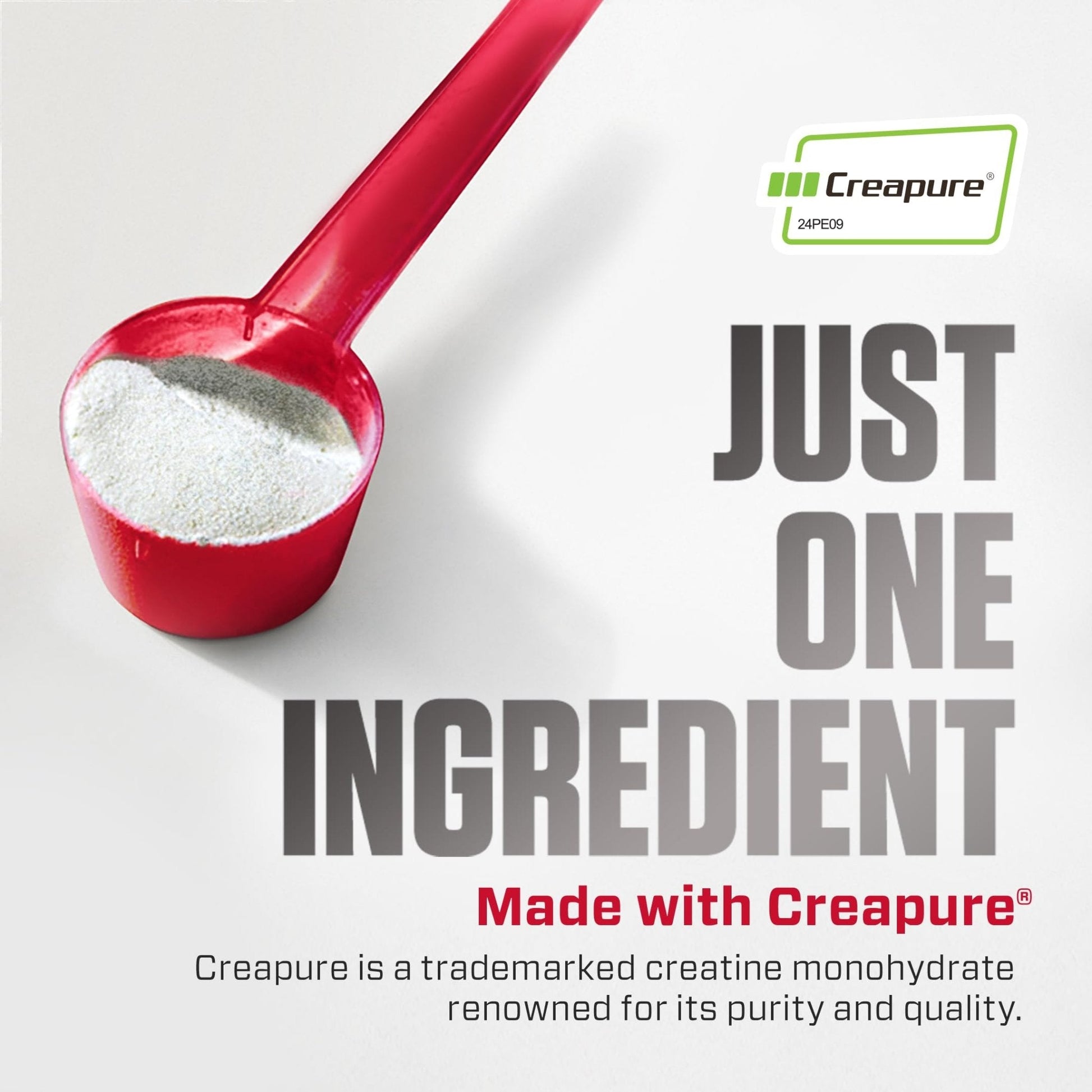 Dymatize 100% Creatine Monohydrate with CREAPURE, 5g Per Serving, 60 Servings (300g), Creatine for Women and Men, Gluten Free - PrimeBioHealth - canada supplements