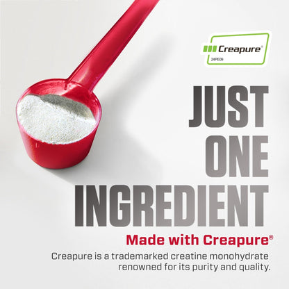 Dymatize 100% Creatine Monohydrate with CREAPURE, 5g Per Serving, 60 Servings (300g), Creatine for Women and Men, Gluten Free - PrimeBioHealth - canada supplements