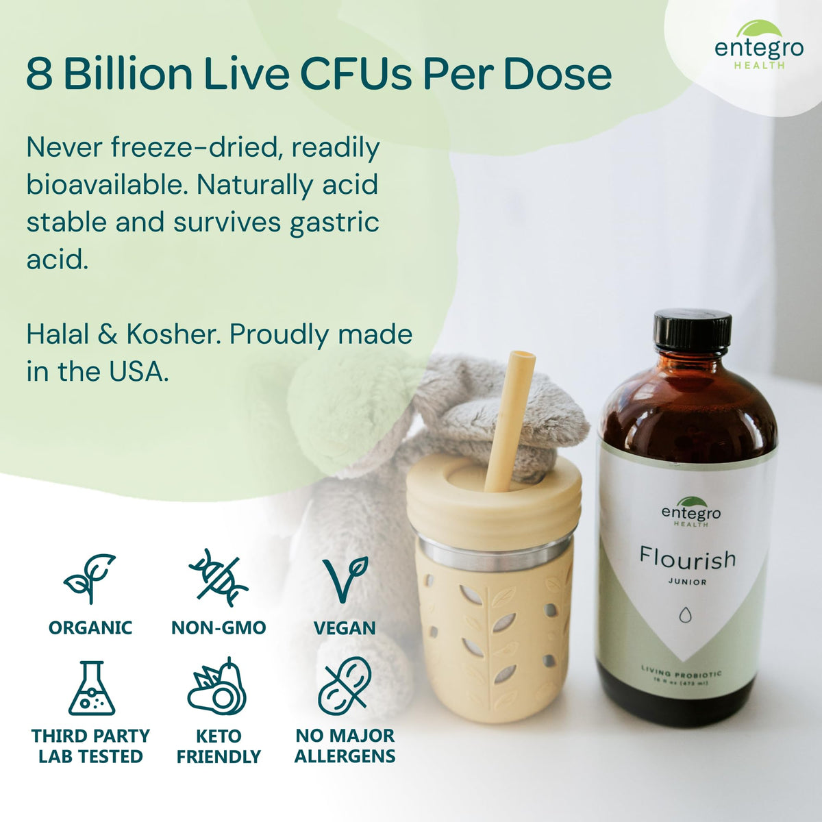 ENTEGRO Flourish Junior Liquid Probiotic & Postbiotic Supplement - Glass | 11 Live Cultures | Gut & Digestive Health for Women, Men & Kids | Organic, Vegan, Allergen Free | USA Made | 16 fl oz - PrimeBioHealth - canada supplements
