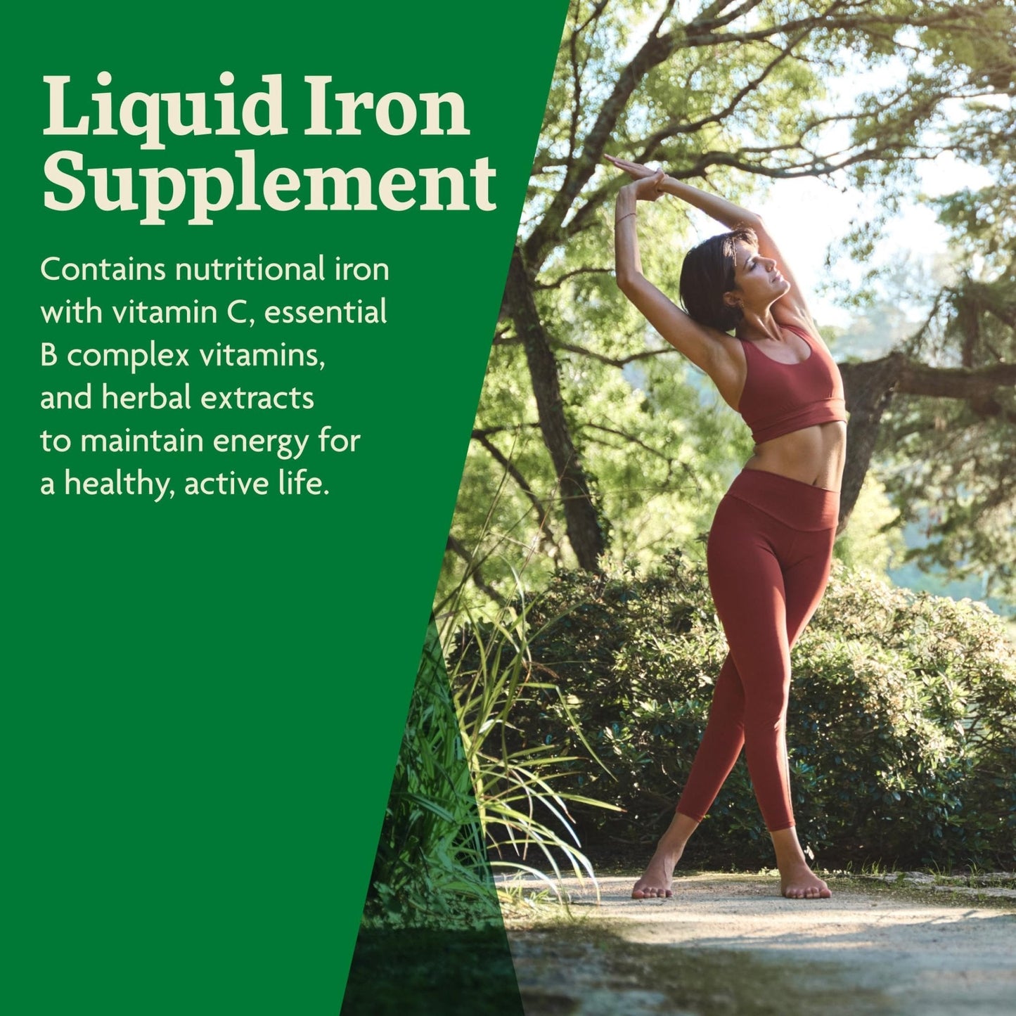Floradix Iron & Herbs - Liquid Herbal Supplement for Energy Support - Iron Supplement with Vitamin C & Vitamin B Complex - for Men & Women - 8.5 fl oz - PrimeBioHealth - canada supplements