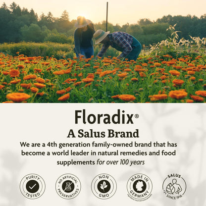 Floradix Iron & Herbs - Liquid Herbal Supplement for Energy Support - Iron Supplement with Vitamin C & Vitamin B Complex - for Men & Women - 8.5 fl oz - PrimeBioHealth - canada supplements