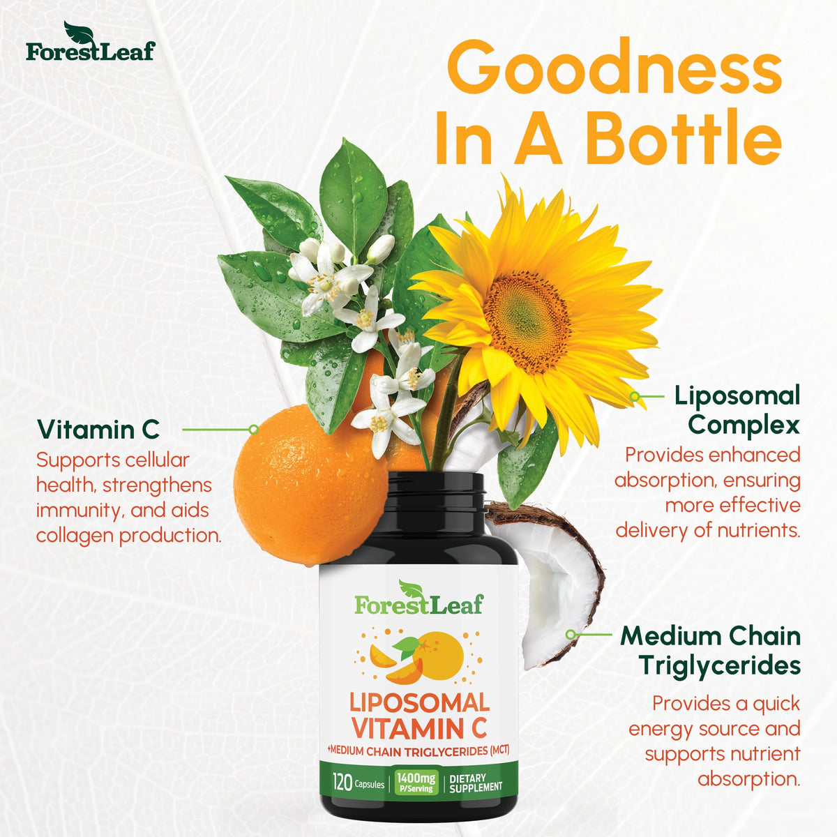 ForestLeaf Liposomal Vitamin C 1400mg Capsules | High Dose Vitamin C Liposomal Supplement w Coconut Oil Fatty Acids | Fast Absorption | Immune Support, Antioxidant, - PrimeBioHealth - canada supplements