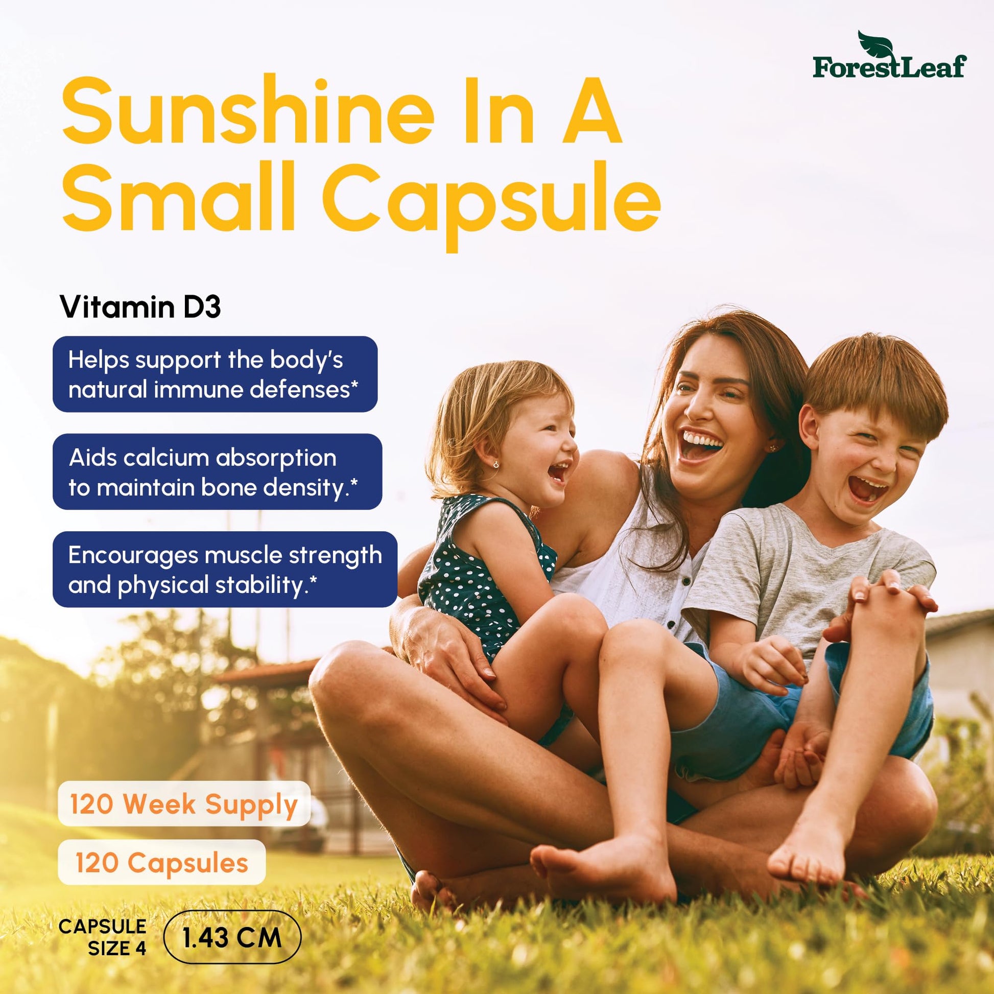 ForestLeaf Vitamin D3 50,000 IU | VIT D - Kosher VIT D3 Vitamin D Supplement for Women and Men | Bone Health, Teeth, Immune Support - PrimeBioHealth - canada supplements