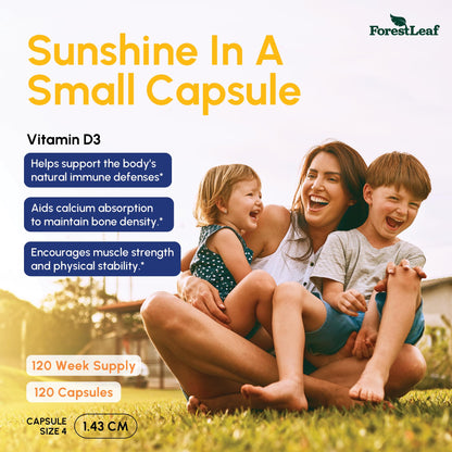 ForestLeaf Vitamin D3 50,000 IU | VIT D - Kosher VIT D3 Vitamin D Supplement for Women and Men | Bone Health, Teeth, Immune Support - PrimeBioHealth - canada supplements